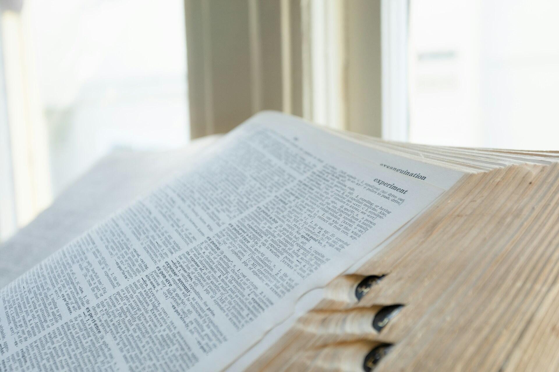 Aufgeschlagenes Wörterbuch mit Text.