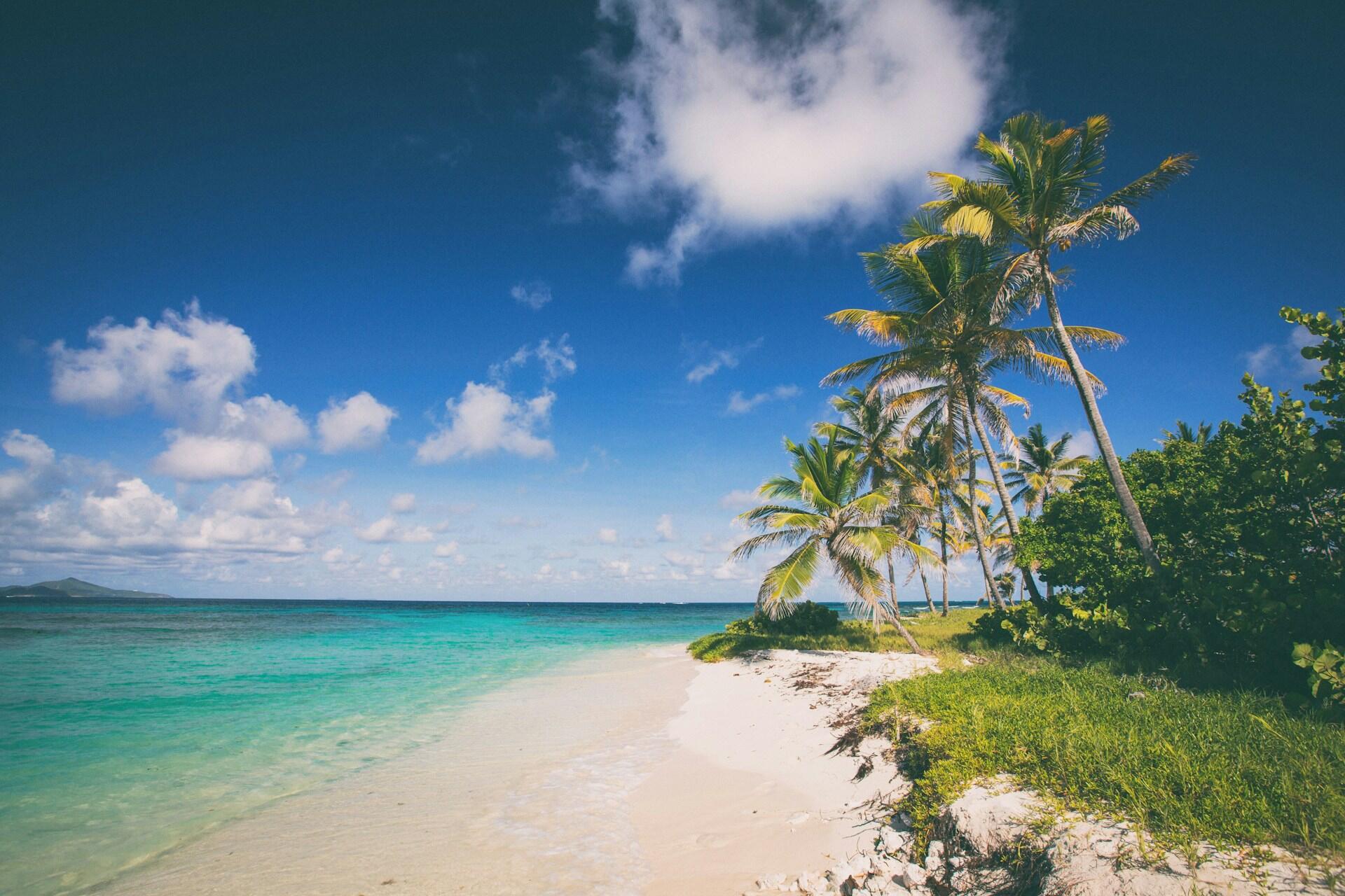 Strand mit Palmen vor türkis farbigem Wasser.