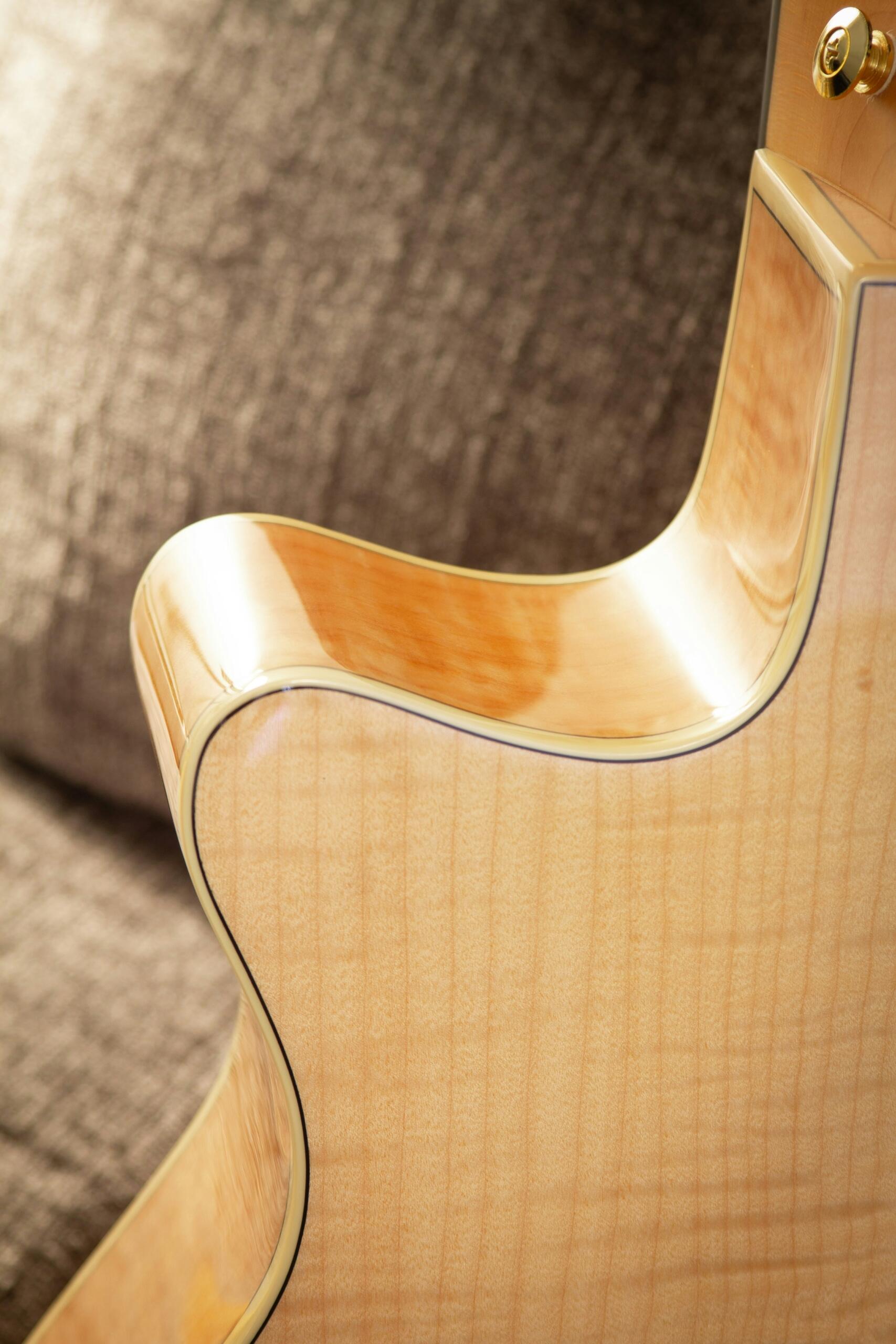 Cutaway einer Gitarre