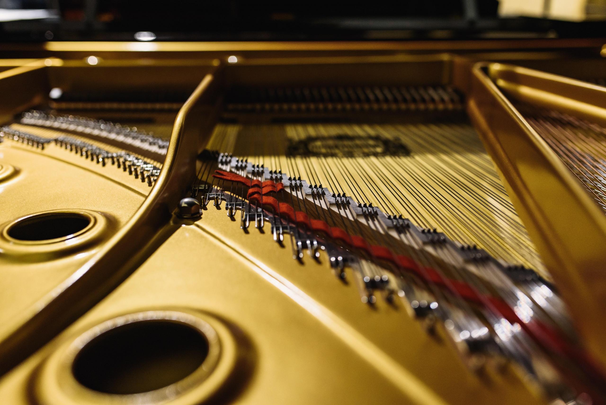 Ein Klavierstimmer kennt sich mit KLavieren und Flügeln aus.