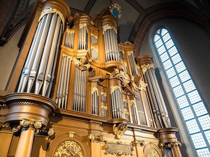 Wolltest Du schon immer wissen, wie eine Orgel ihren Klang erzeugt?