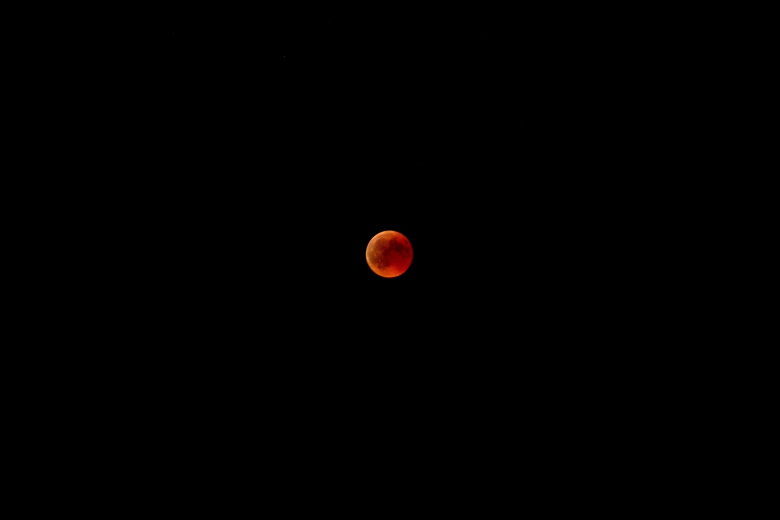 Ob es auf dem Mars wohl Leben gibt?
