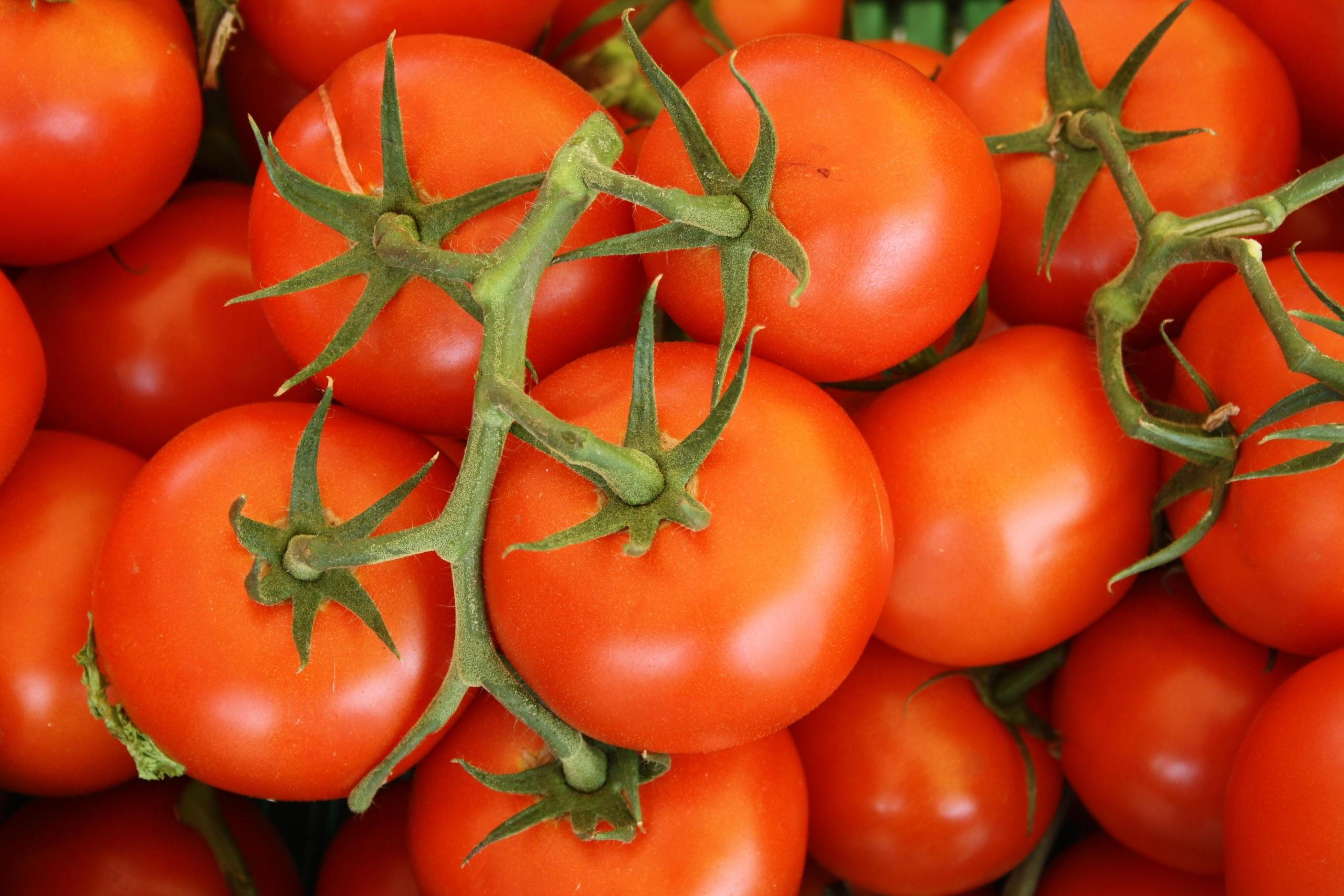 Einige Ausdrücke lassen sie wortwörtlich aus dem Spanischen übersetzen.
