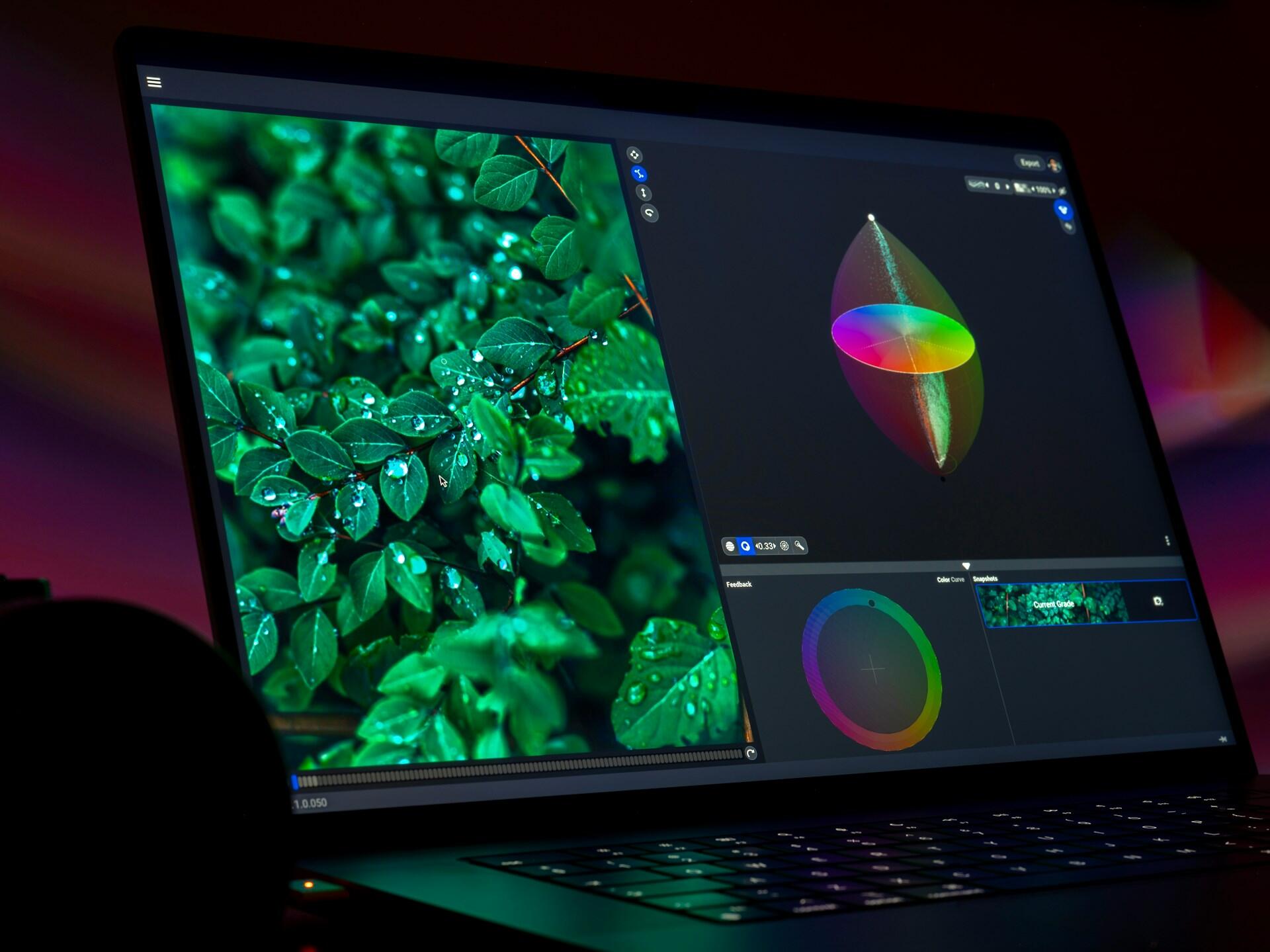 Laptop mit Programm zur Bildbearbeitung und Foto von Blättern.