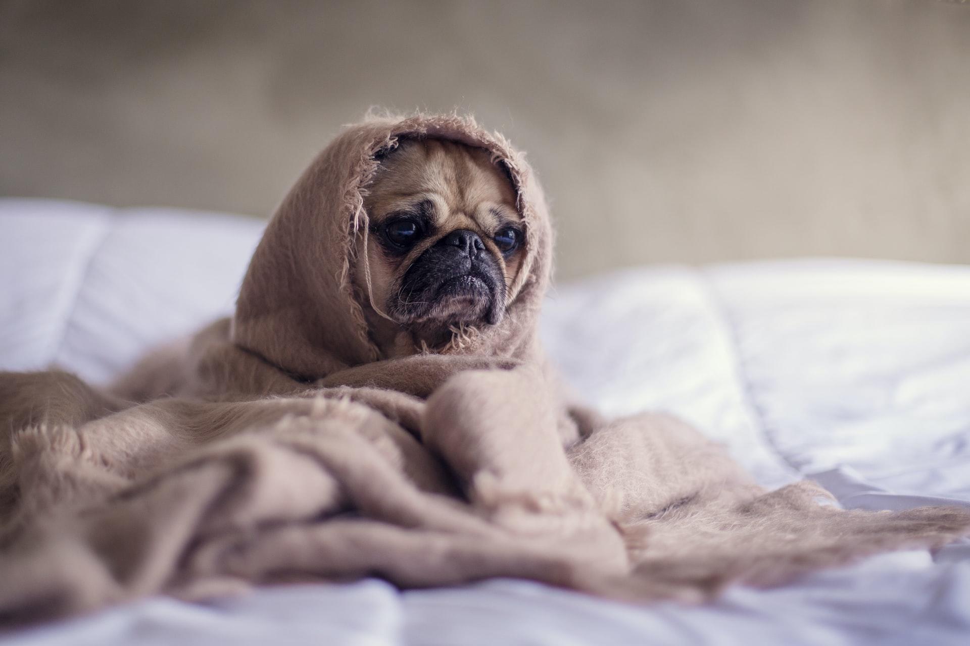 Wie übe ich Restorative Yoga am besten?