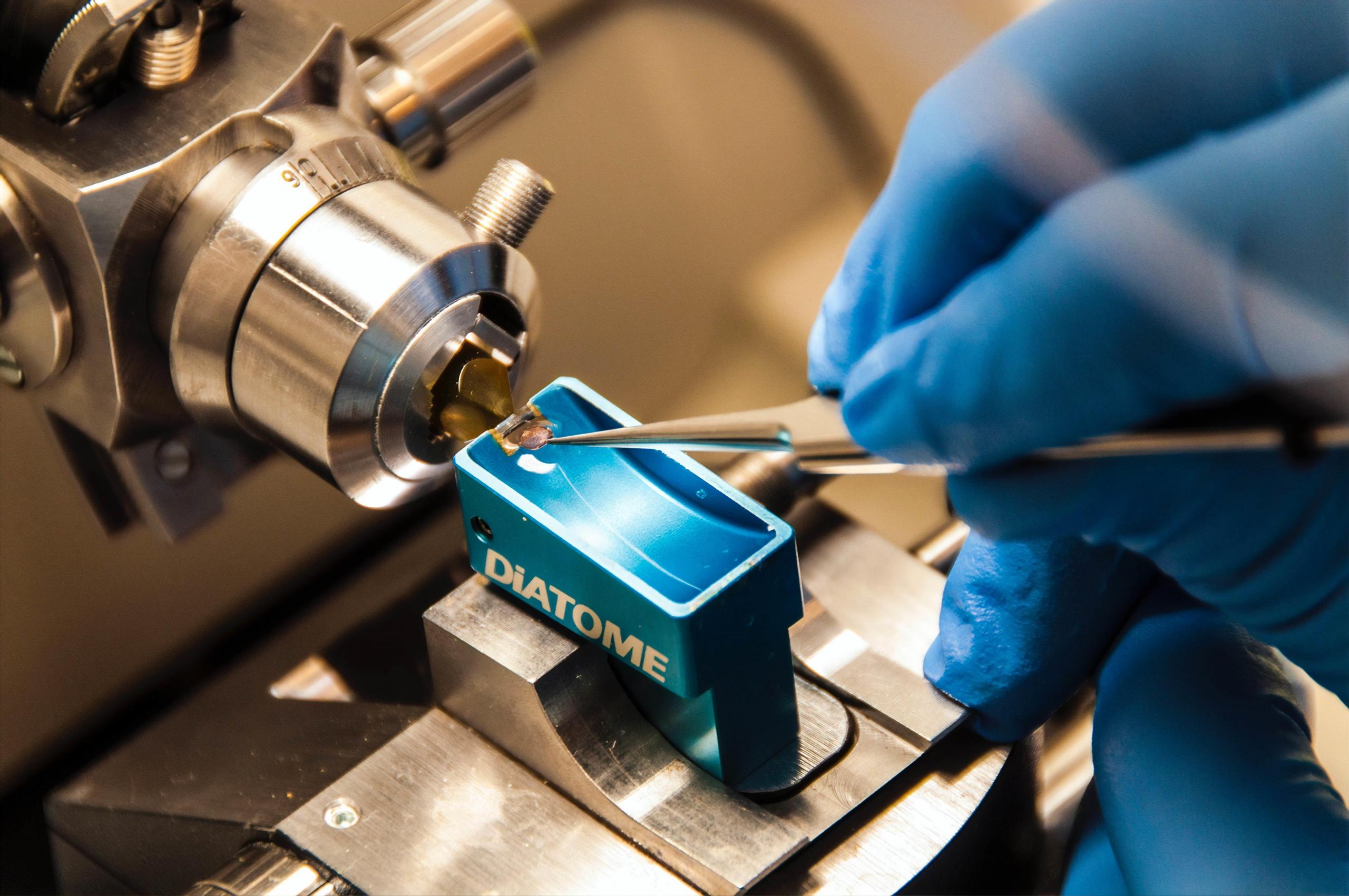 Forensiker benutzen im Labor unter Anderem DNA.