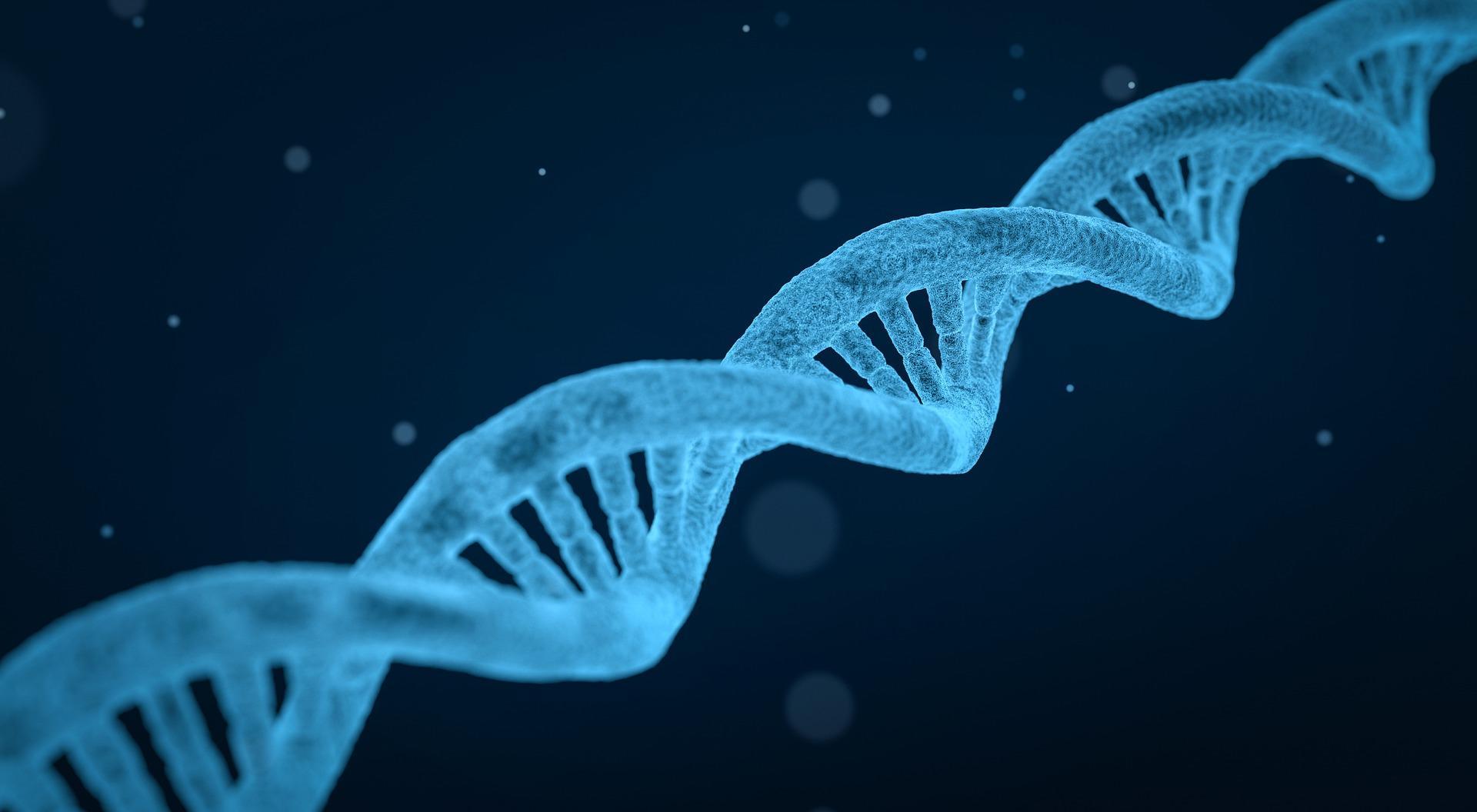 Ohne kovalente Bindungen könnte sich Unsere DNA nicht formen