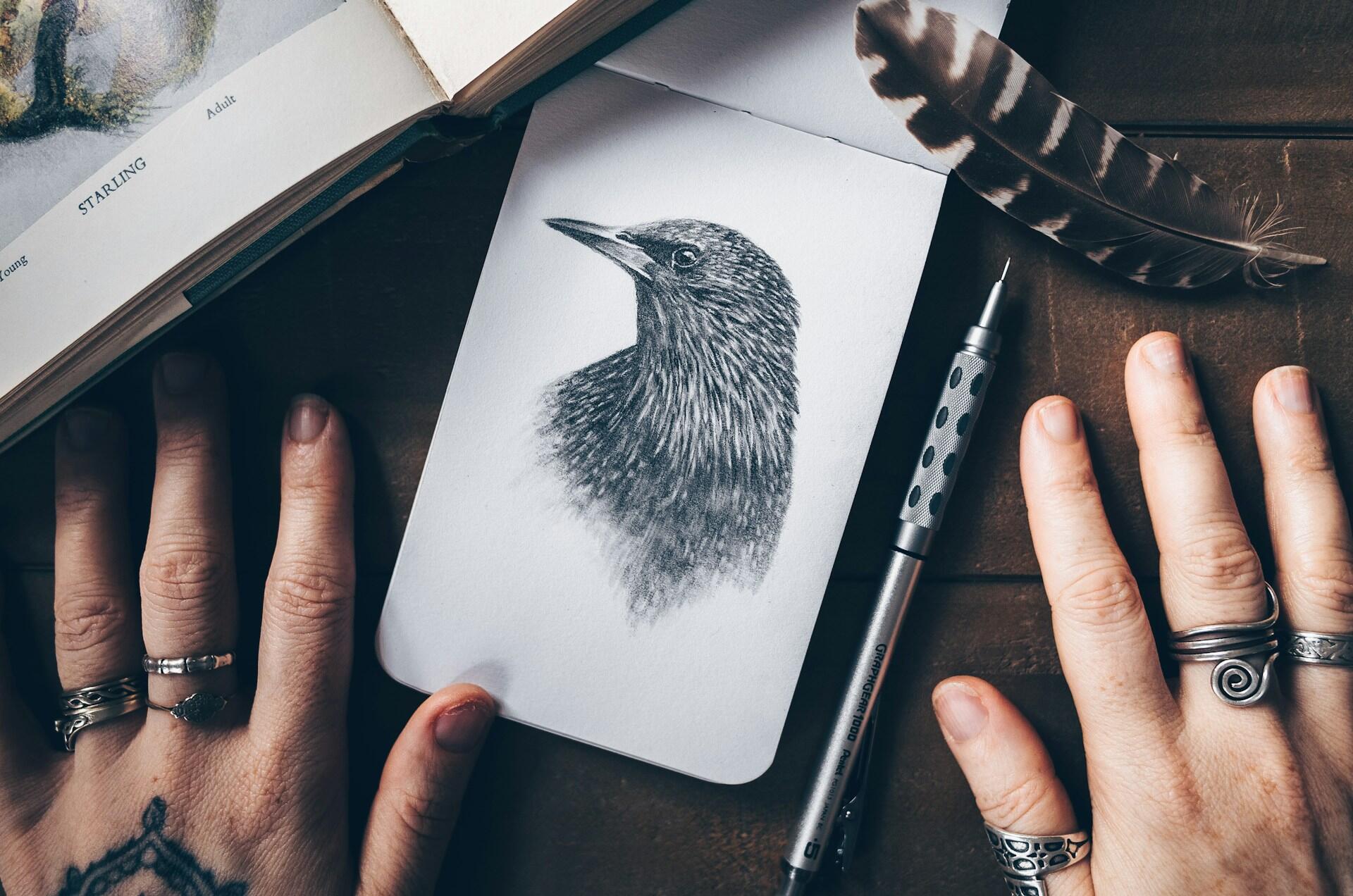 Eine Zeichnung von einem Vogel, daneben zwei Hände.