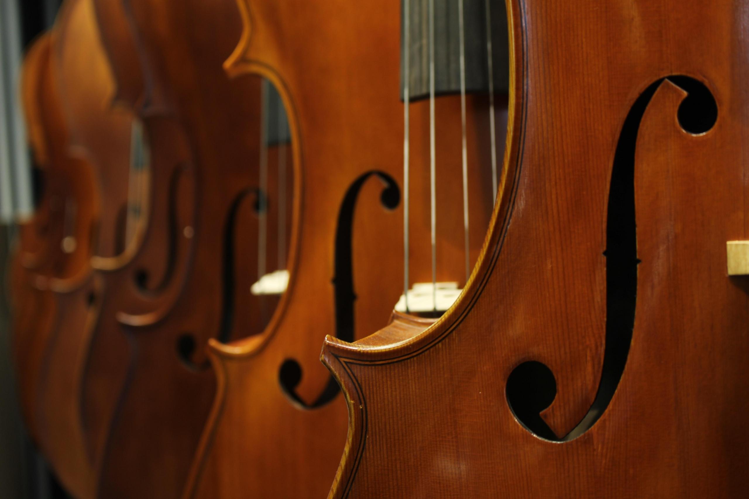 Die heute gebräuchlichen Geigen Arten stammen von der Viola da braccio ab.
