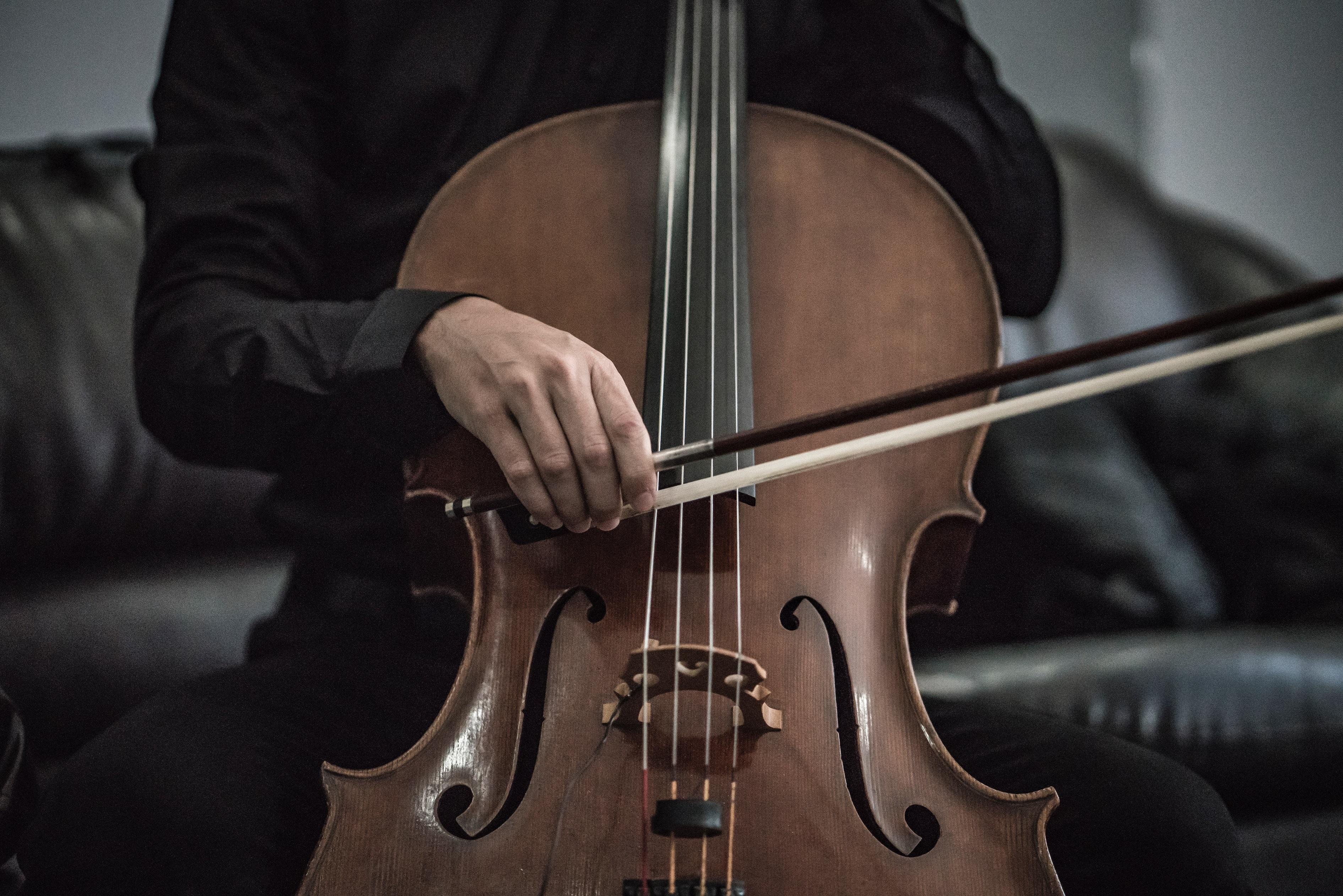 Der Cello Aufbau ist dem der Geige ähnlich.