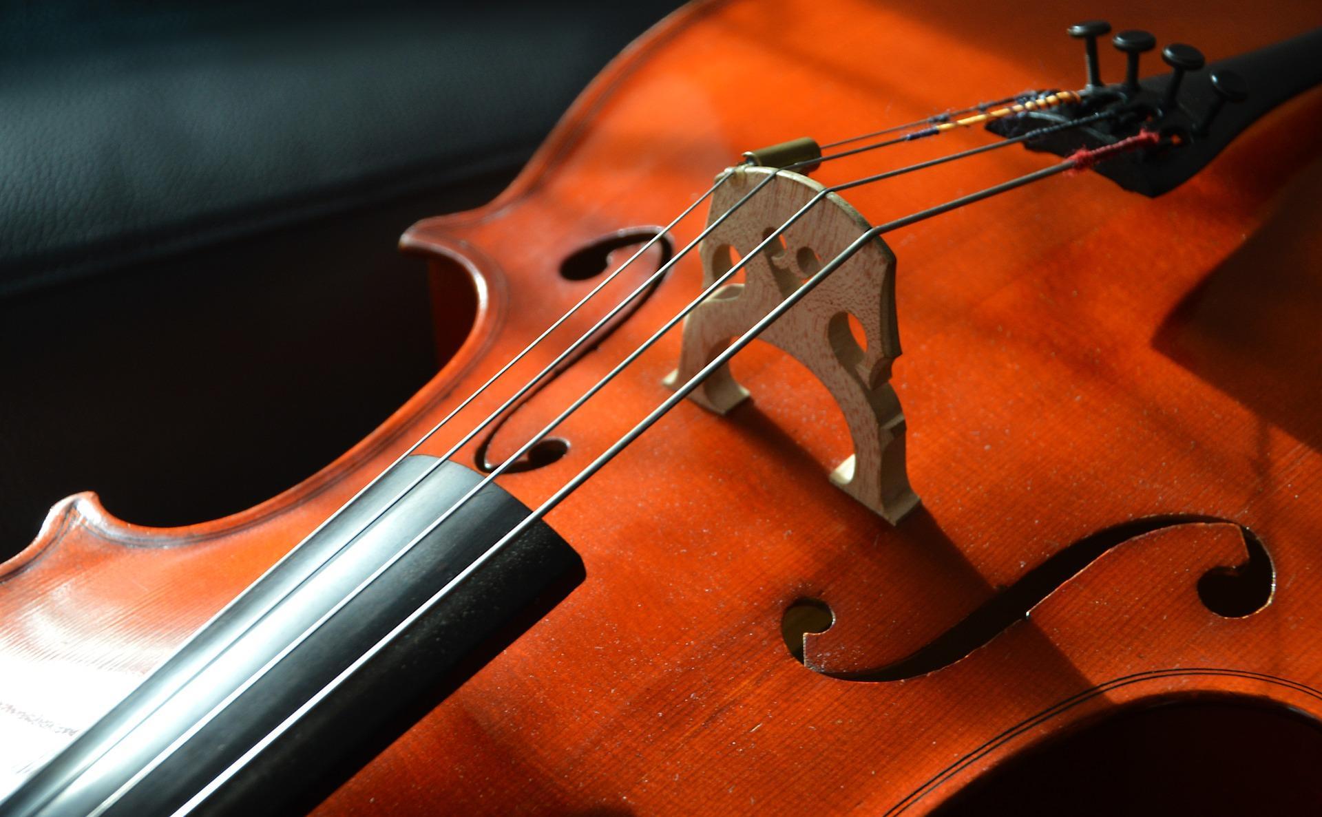 Beim Cello kauf kommt es auch auf kleine Details in der Verarbeitung an.