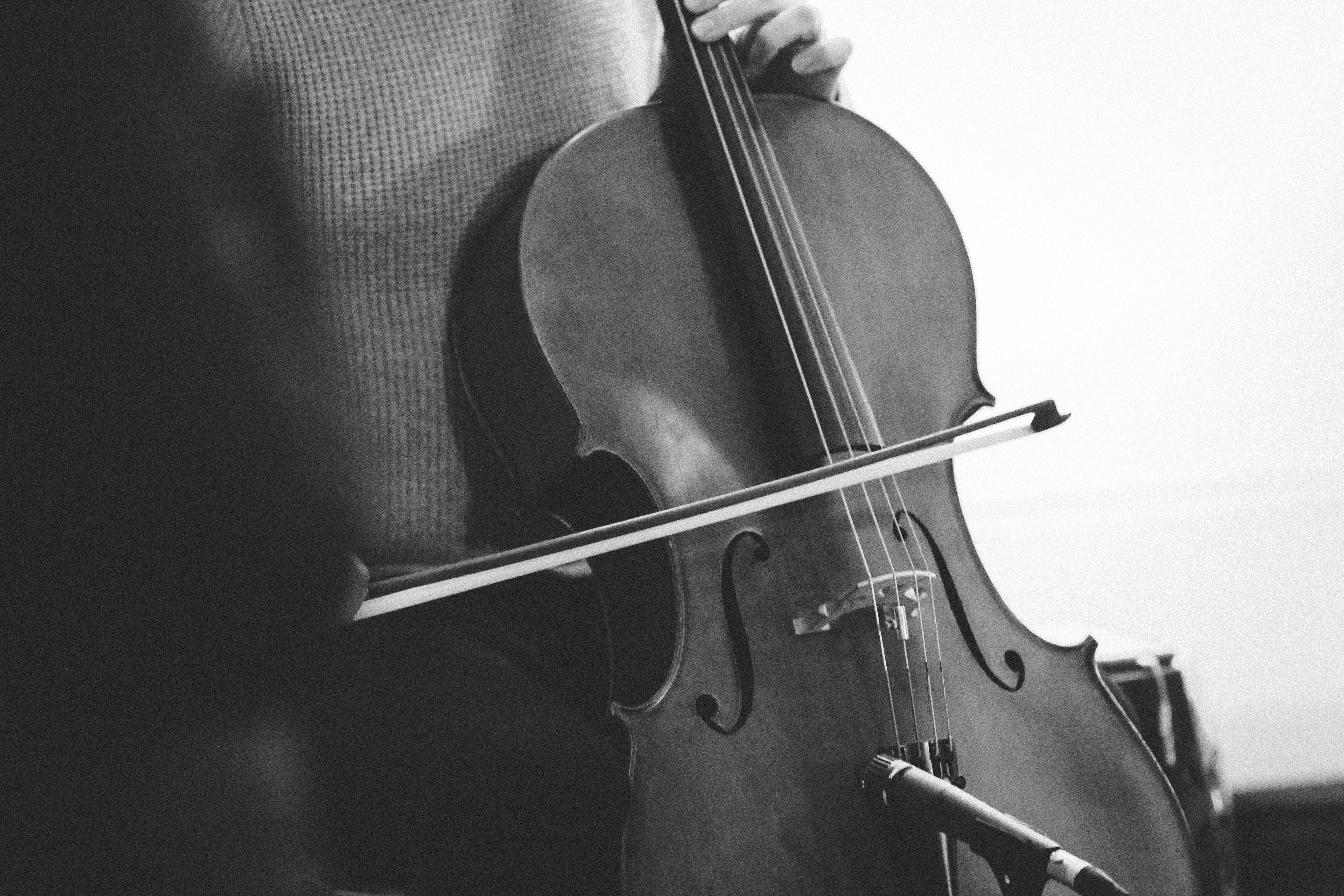 Alle rund ums Cello lernen.