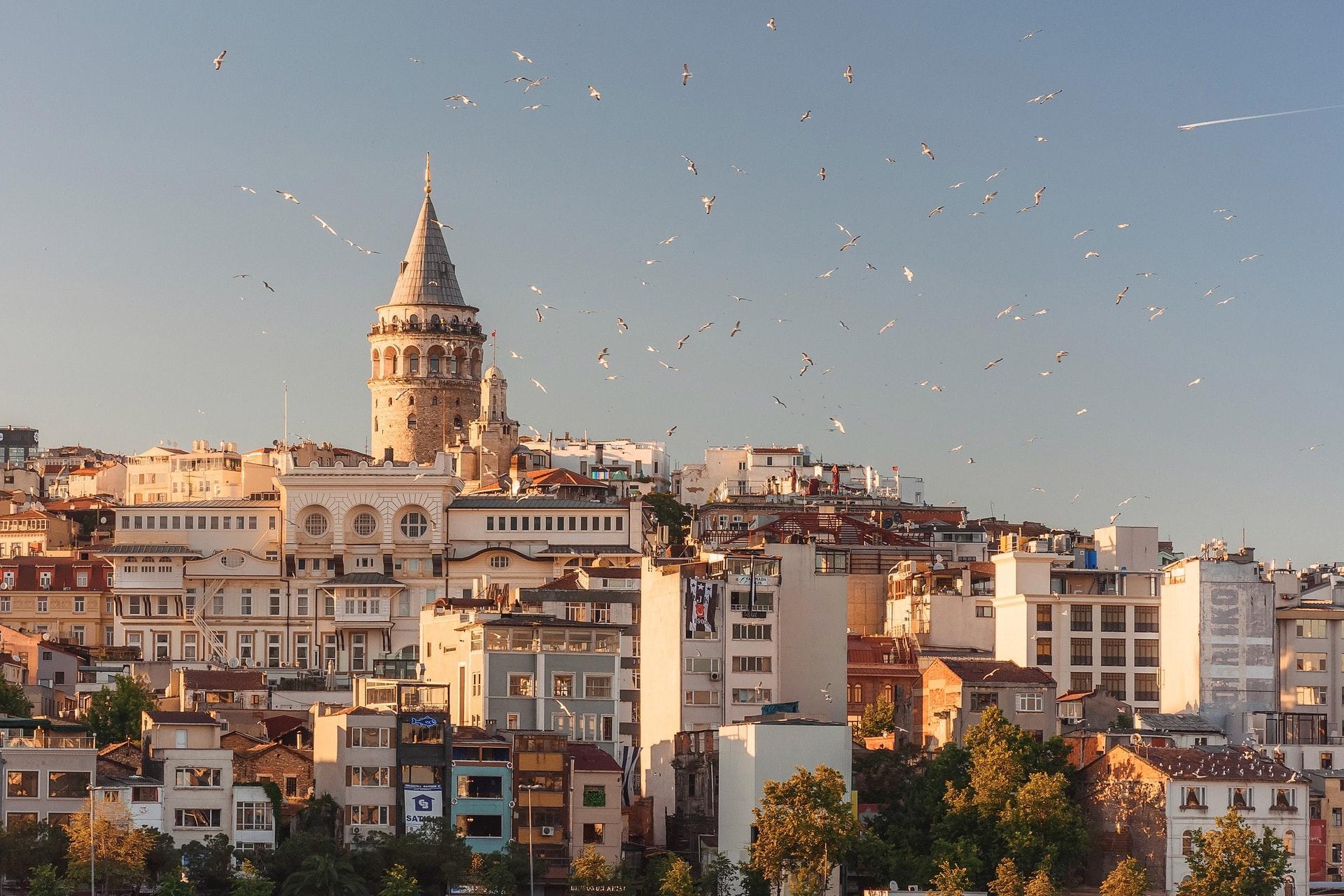 Warum möchtest Du Türkisch lernen?