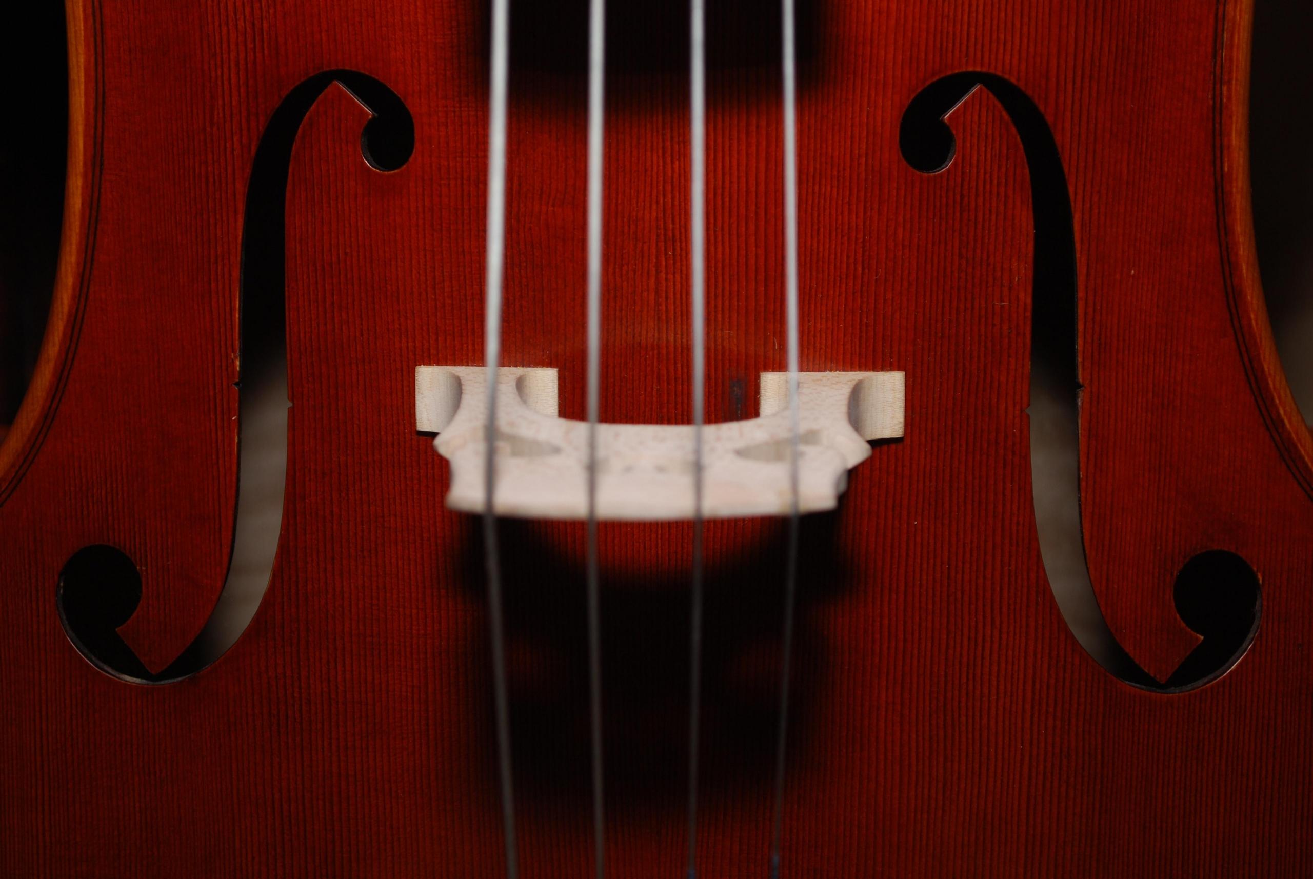 Der Cello Aufbau ist dem der Geige ähnlich.