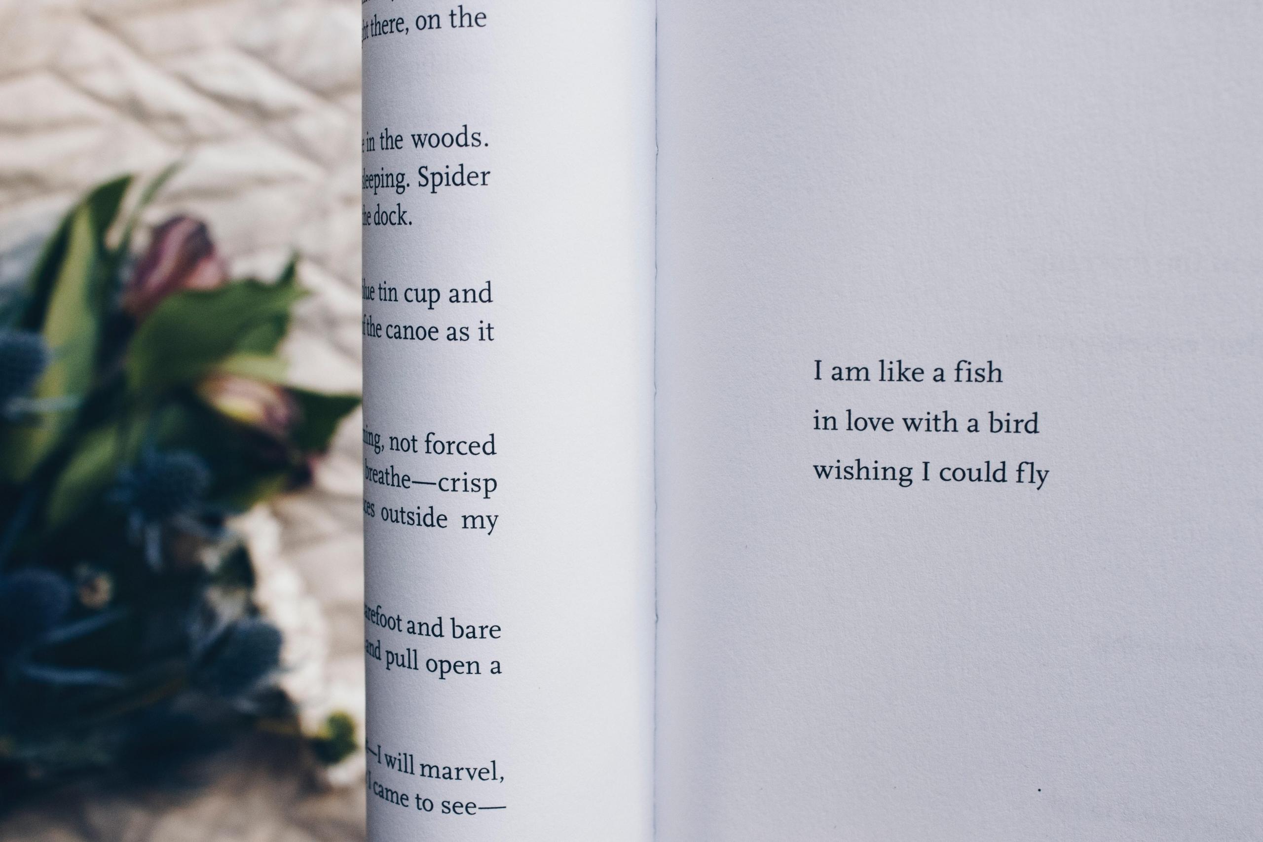 Ein offenes Buch mit einem Gedicht
