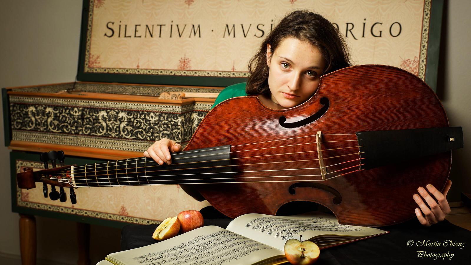 Die Viola da Gamba war lange beleibter als das Violoncello.