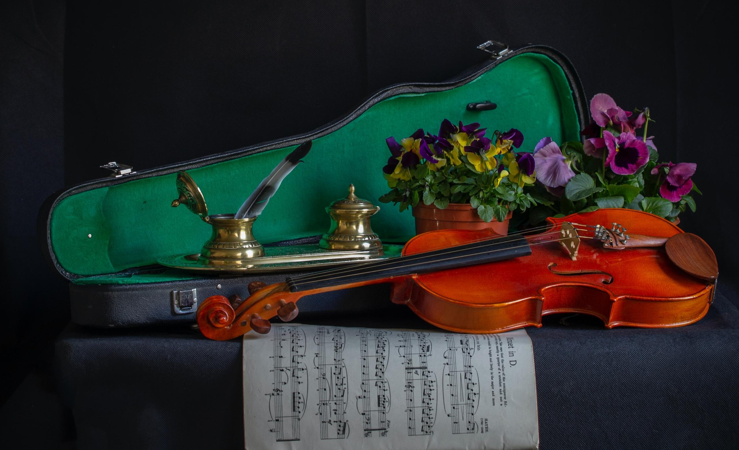 Antonio Stradivari spielte in der Geschichte der Streichinstrumente eine große Rolle.