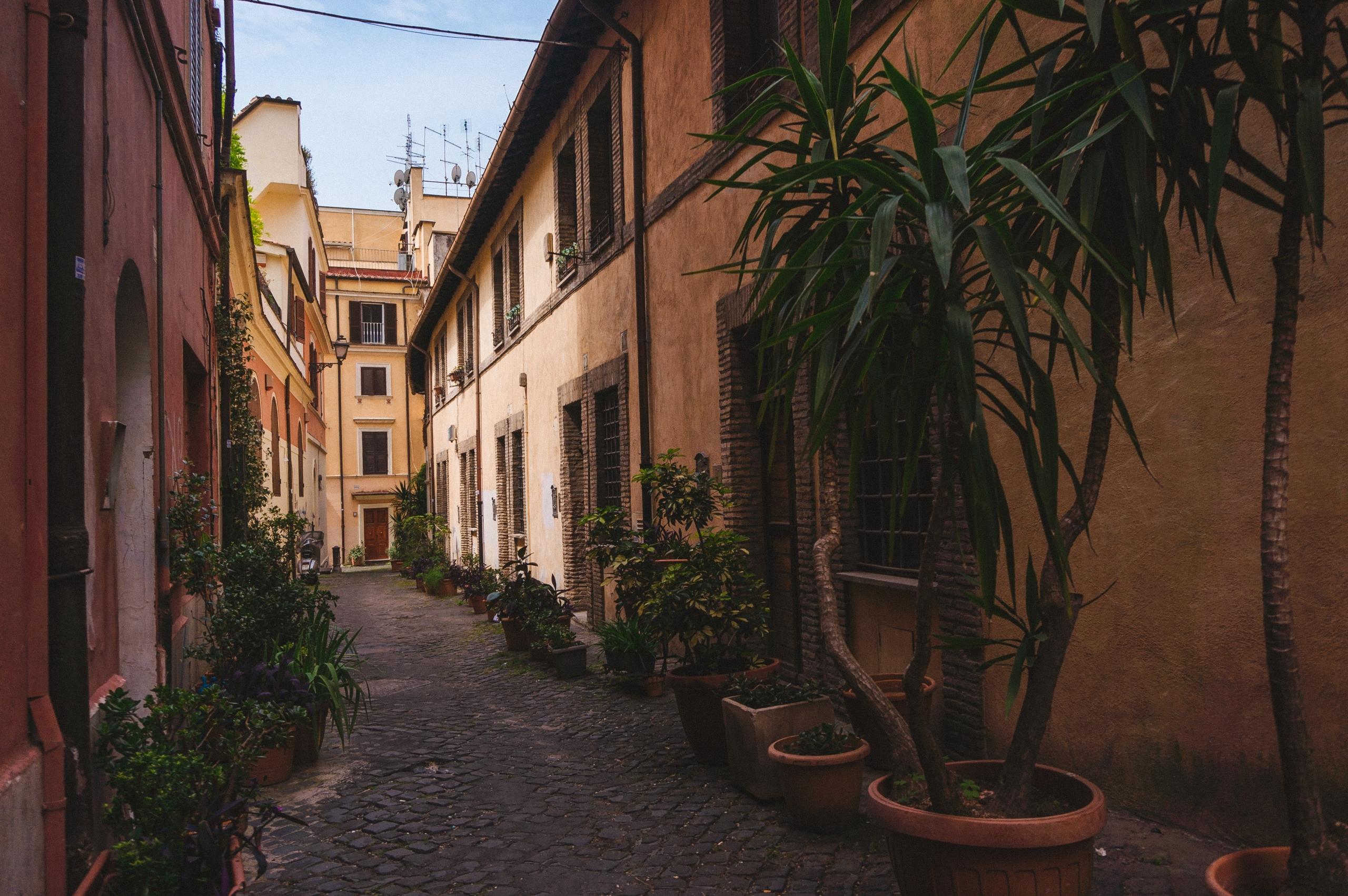 Eine schattige Gasse mit Hüschen, vor denen Pflanzen und Palmen stehen. Auch, wer abseits großer Sehenswürdigkeiten schlendern möchte, ist in Rom gut aufgehoben.