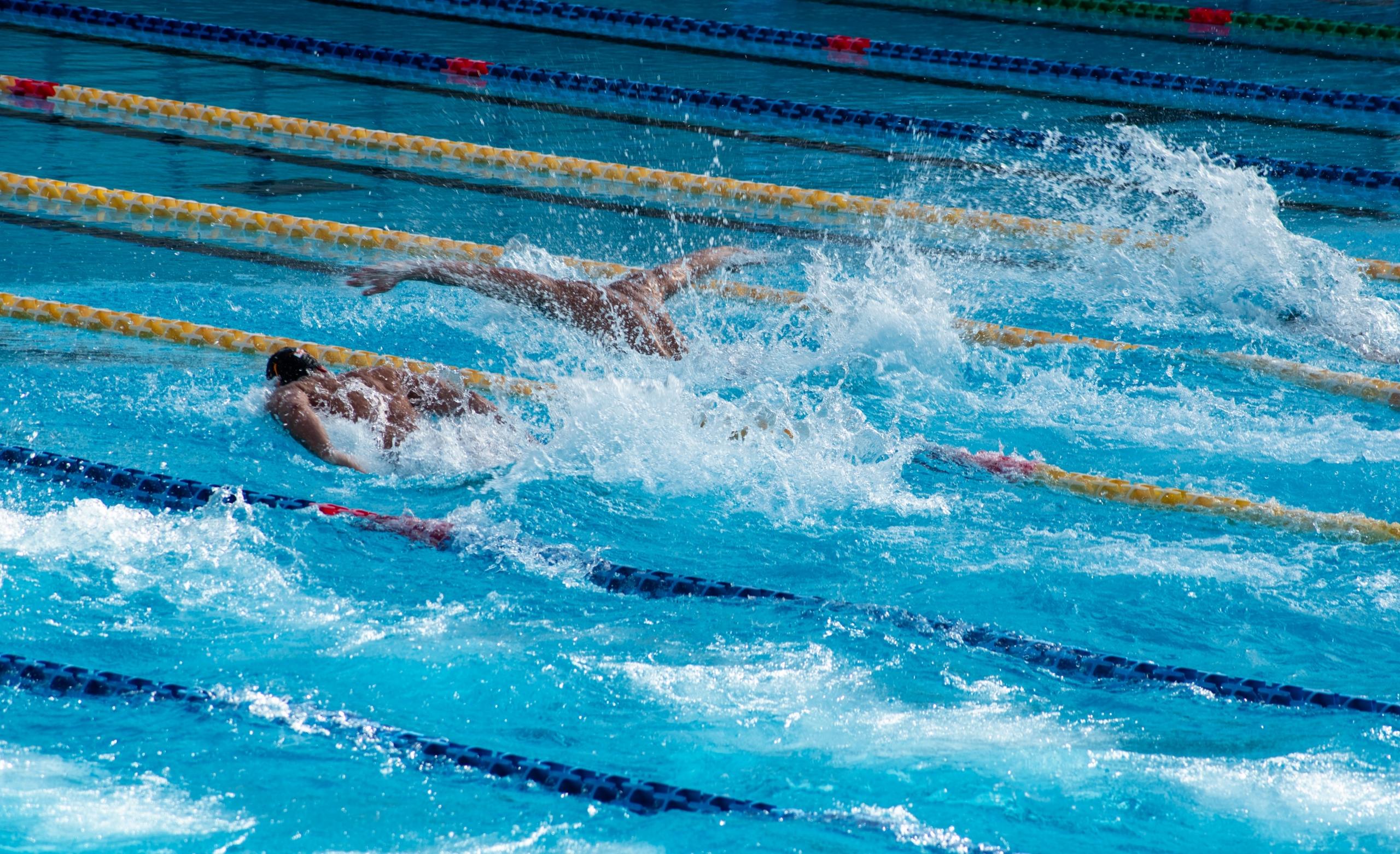Die wellenartige Körperbewegung ist die Grundlage für das Delfinschwimmen.