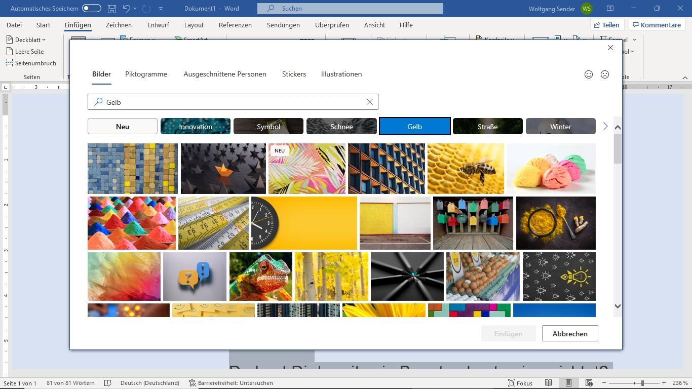Screenshot vom Einfügen von Fotos in Word - Willst du die Word Grundlagen lernen?