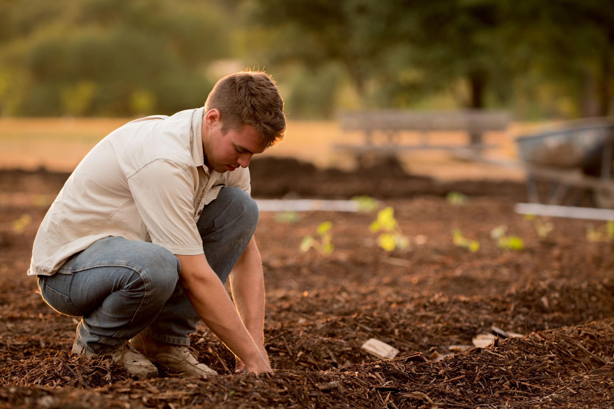 Ein Mann pflanzt Samen auf einem Feld ein - durch Work and Travel kannst Du sehr viel lernen z.B. über Landwirtschaft