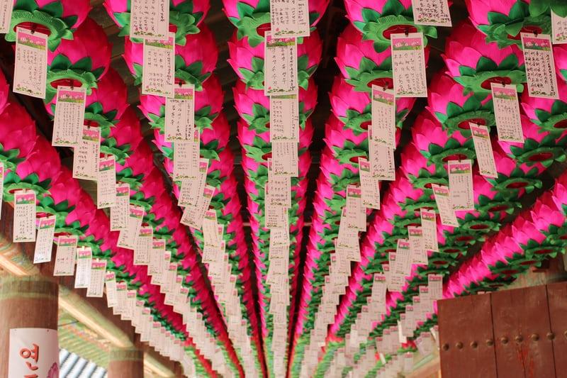 Lange reihen rosa und grünfarbener Lanternen mit kleinen Fähnchen mit koreanischen Schriftzeichen. | Unsplash