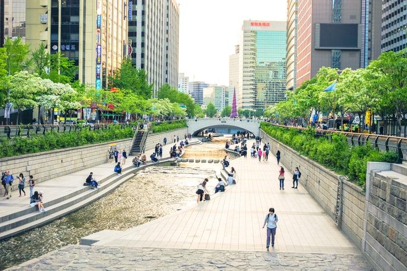 Der Cheonggyecheon Stream, gesäumt von Bäumen und Hochhäusern, mit Spaziergängern.