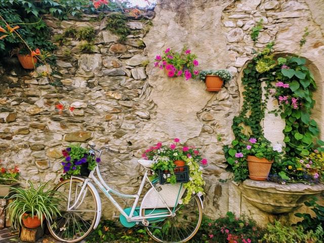 Solche ein romantisches Bild mit einem blumengeschmückten Damenfahrrad vor einer mit Pflanzen bewachsenen Steinmauer findet man in Meran!