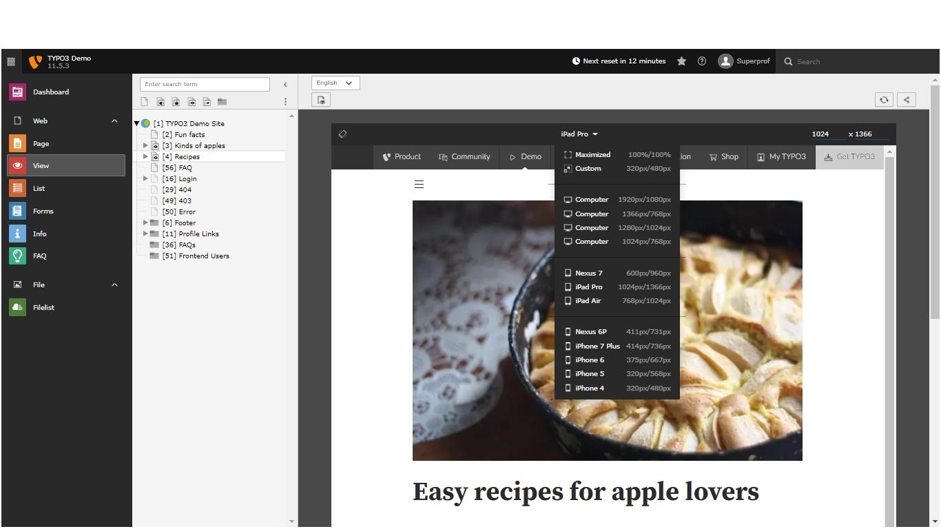 Screenshot CMS Typo3 Backend