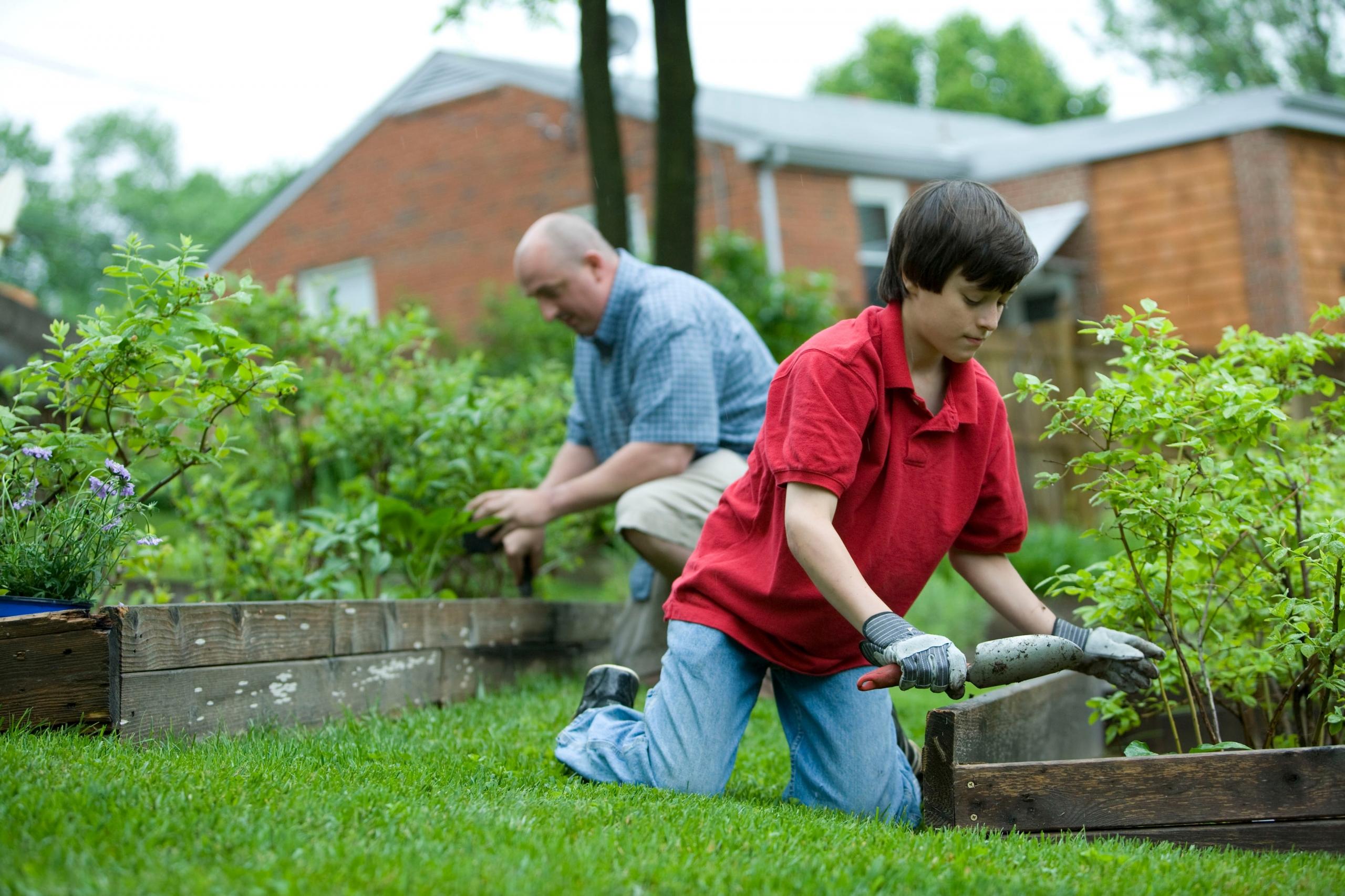 Ein Junge und ein erwachsener Mann knien vor Gartenbeeten und arbeiten.