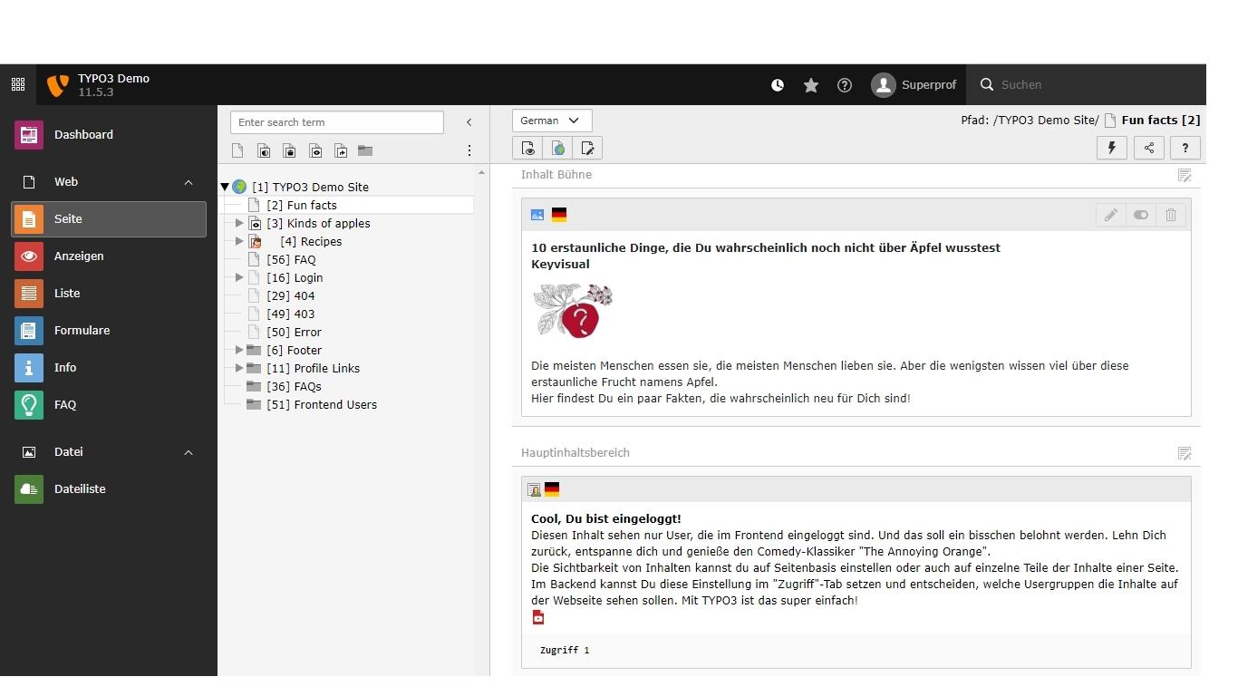 Bildschirmfoto des Frontends von Typo3 Content Management System