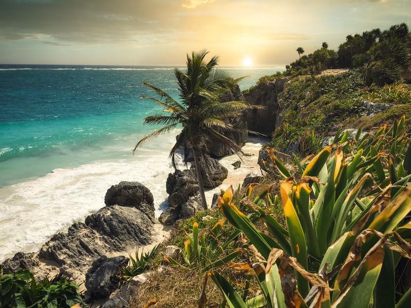 Blick von einem bewachsenen,felsigen Hügelmit Palme auf einen weissen Sandstrand.