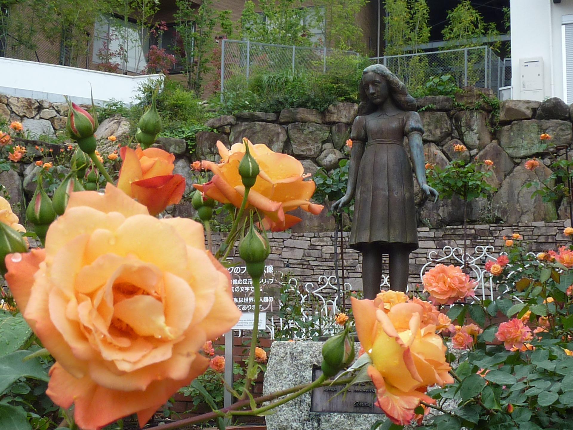 Eine Staute von Anne Frank steht in einem Garten hinter orangenen Rosen.
