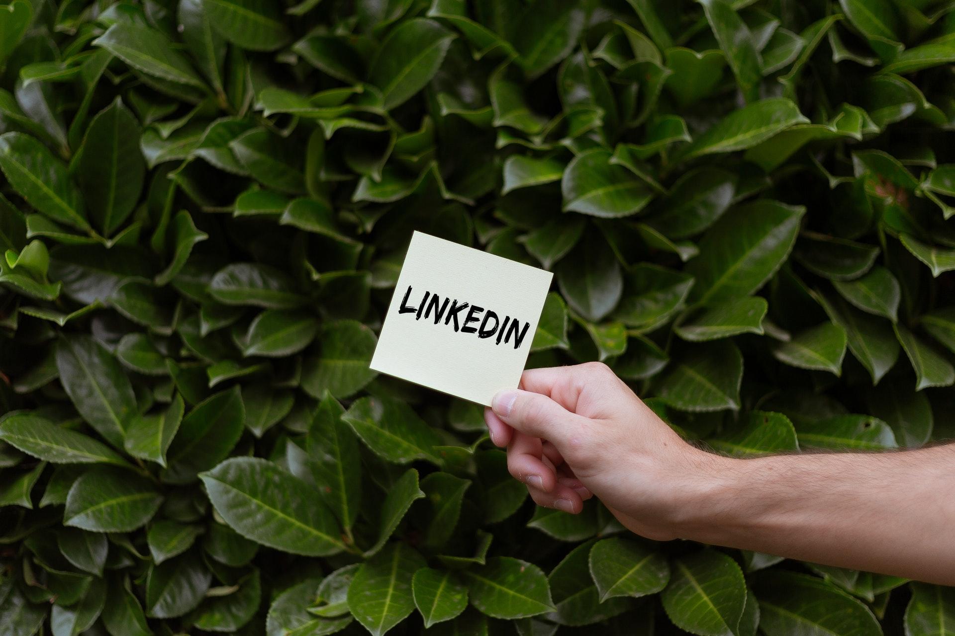 Hand hält Post-it mit der Aufschrift LinkedIn vor grünen Blättern.