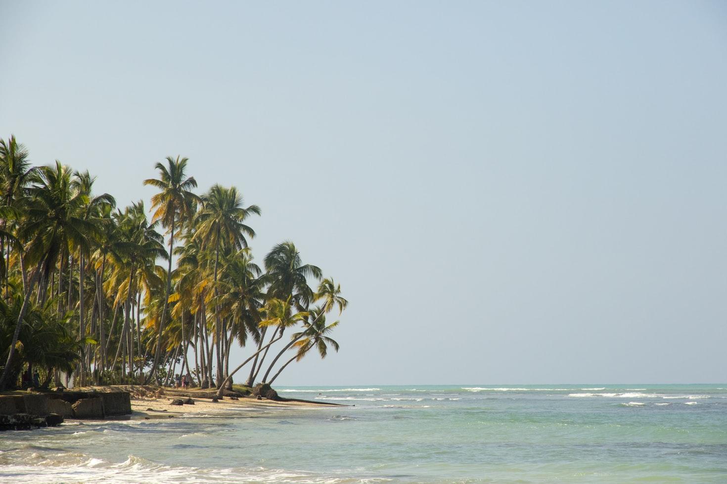 Strand mit Palmen, Meer und blauer Himmel.