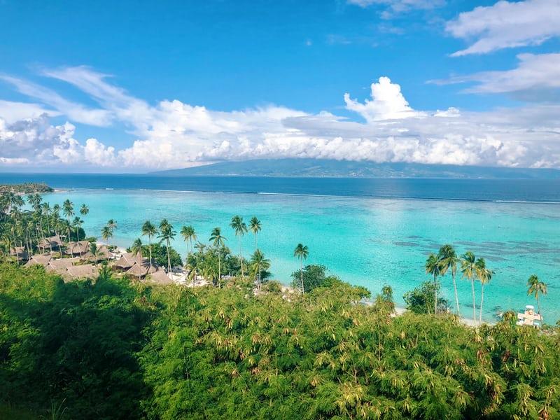 Blick über die Insel Mo'orea mit Palmenstrand und hellblauem Meer.