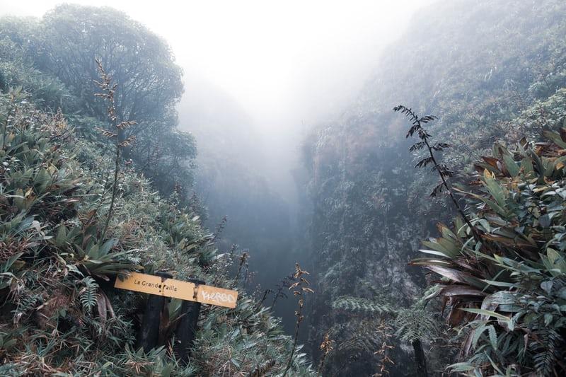 Blick in ein üppig bewachsenes, grünes Tal mit leichtem Nebel.