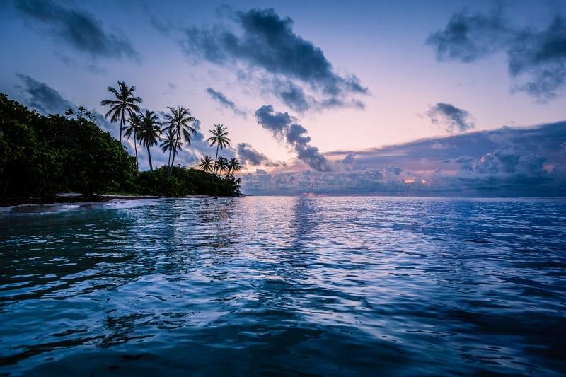 Das Meer in der Abenddämmerung, seitlich ein Stück Strand mit Palmen. 