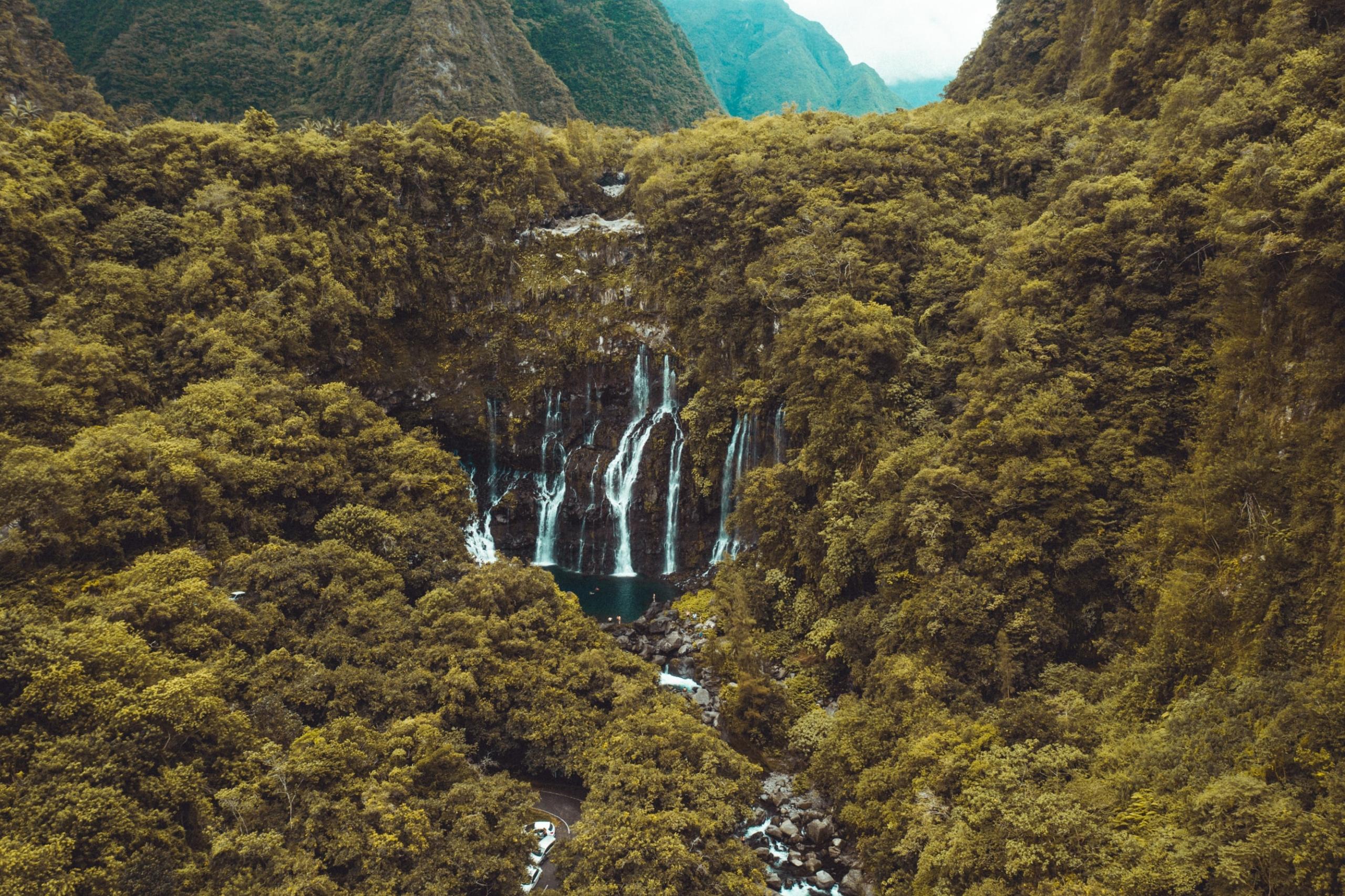 Ein steiler Wasserfall in einem Primärwald auf la Réunion. 