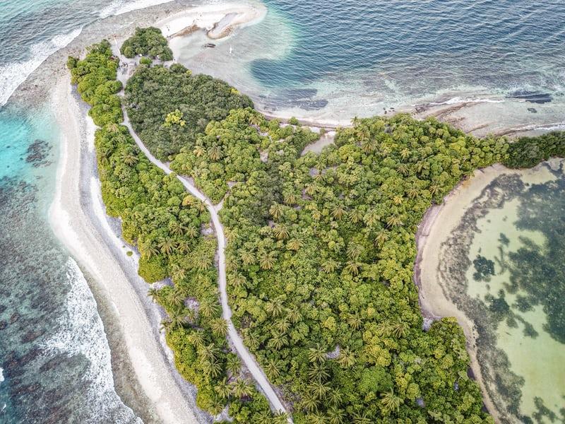 Luftaufnahme einer Insel, umgeben von Meer und dicht mit Bäumen bewachsen.