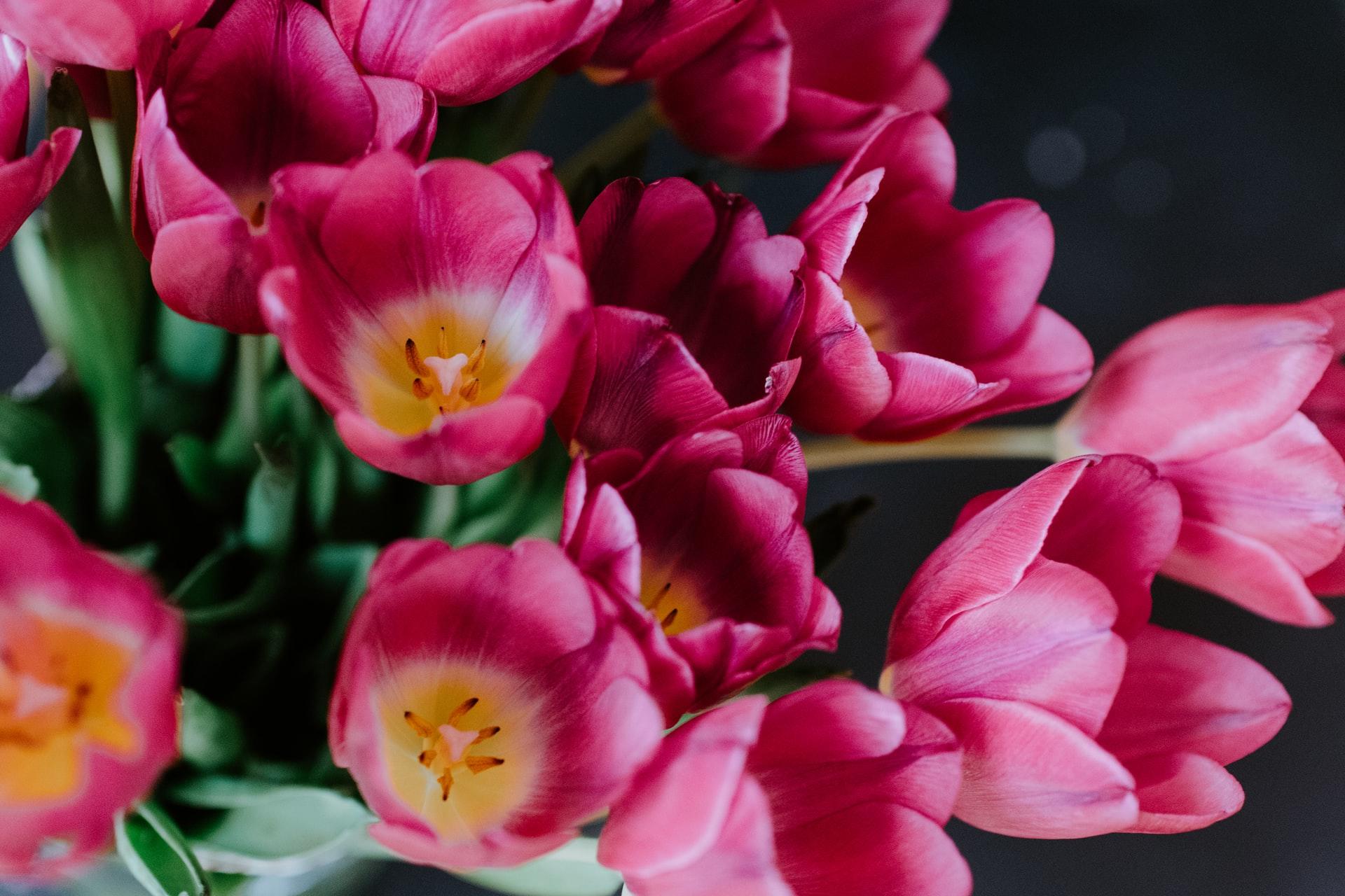 Die Blüten der Blumen in dem Strauß sind außen rosa und innen weiß und gelb.