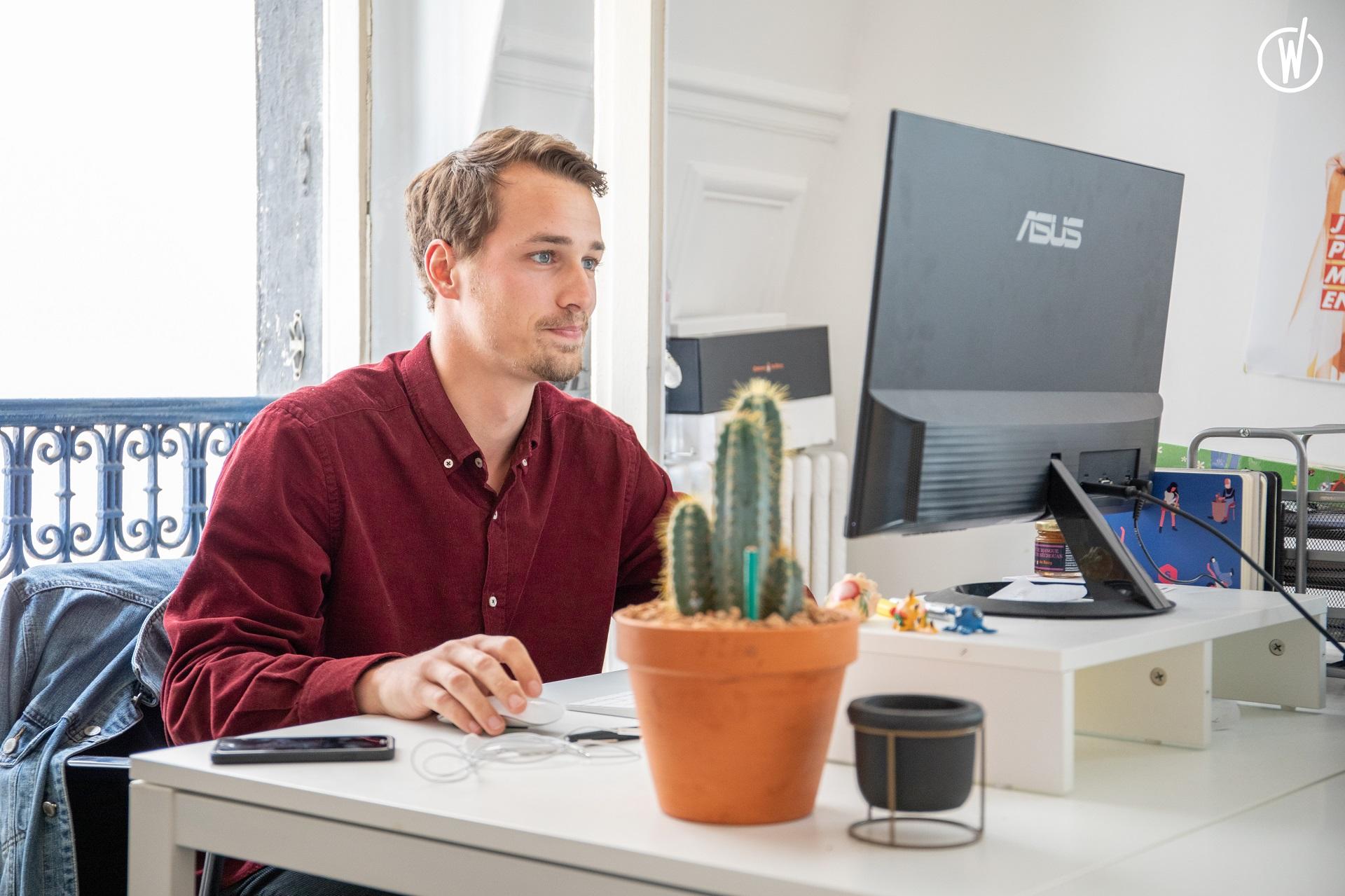 Ein Mann sitzt vor offenem Fenster an einem Desktop-PC und davor steht ein Kaktus.