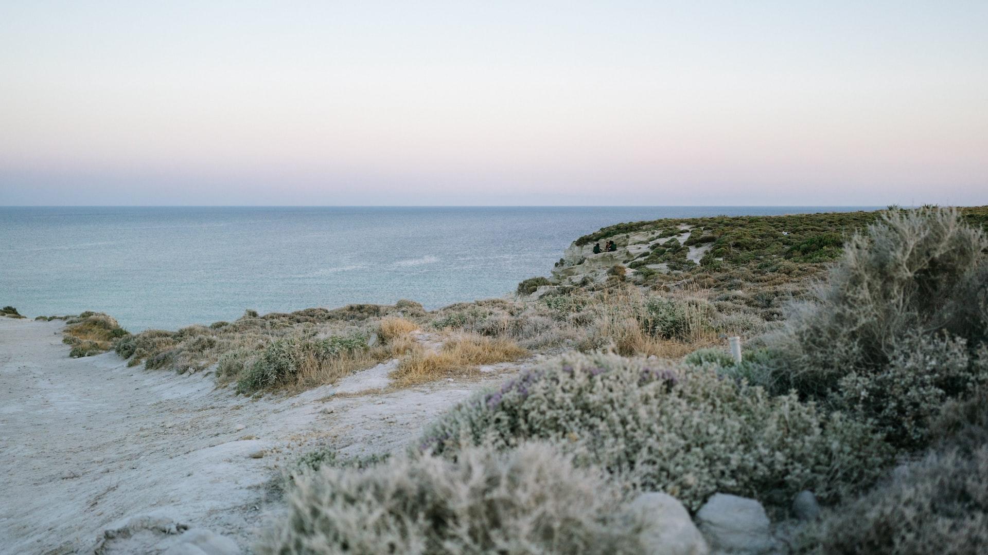 Auf einem hellen Felsen über dem Meer wachsen viele Gräser und flache Sträucher.
