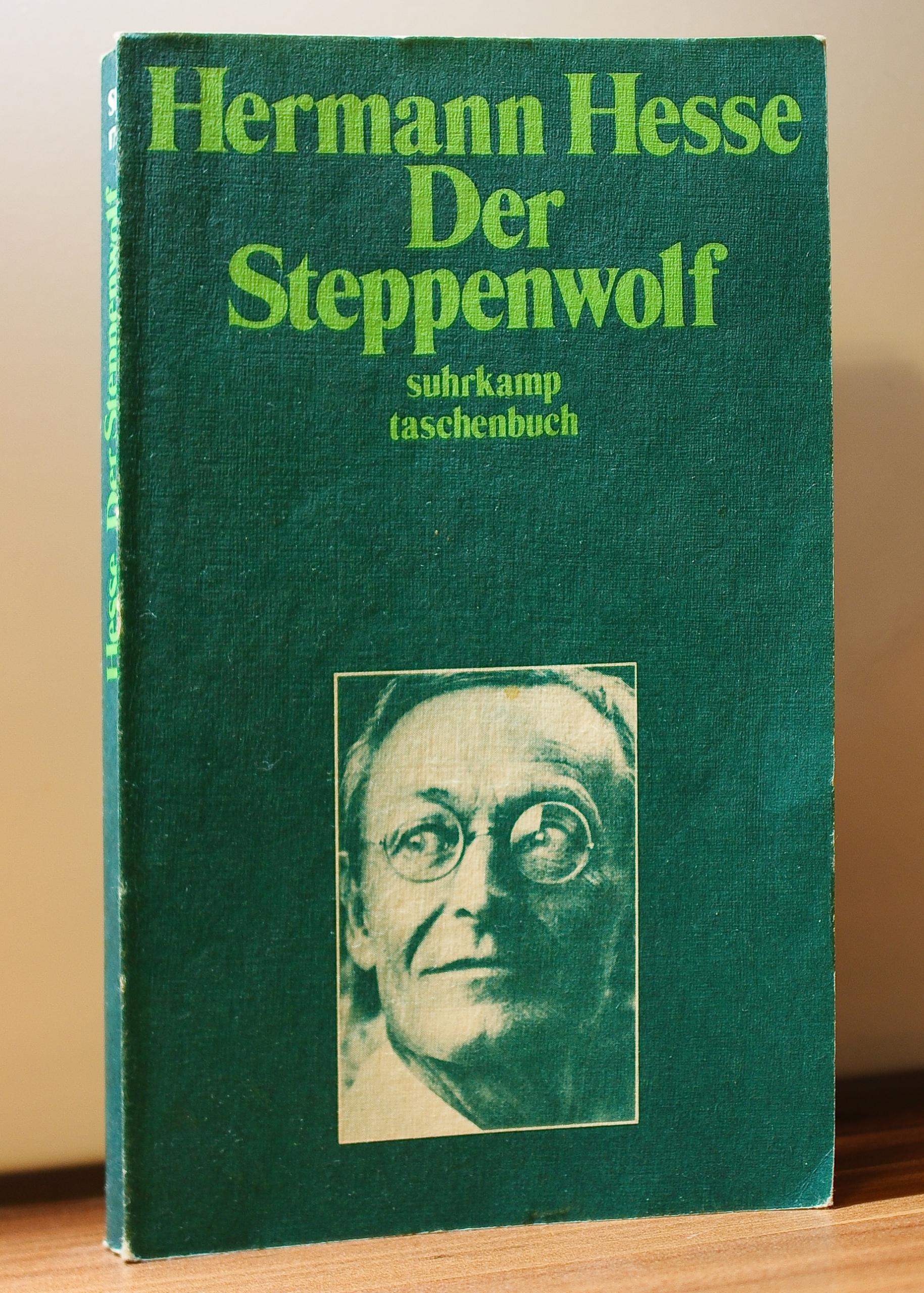 Das Buch der Steppen Wolf von Hermann Hesse
