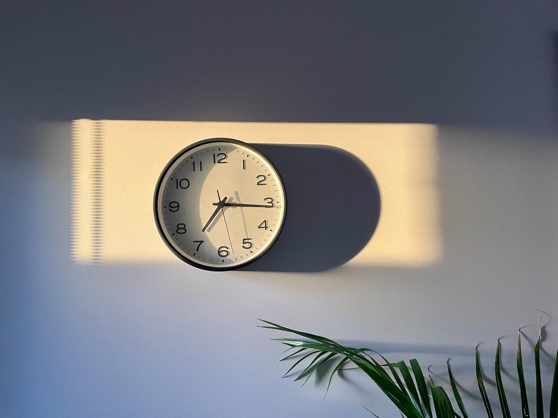 Wanduhr an Wand mit Pflanze davor.