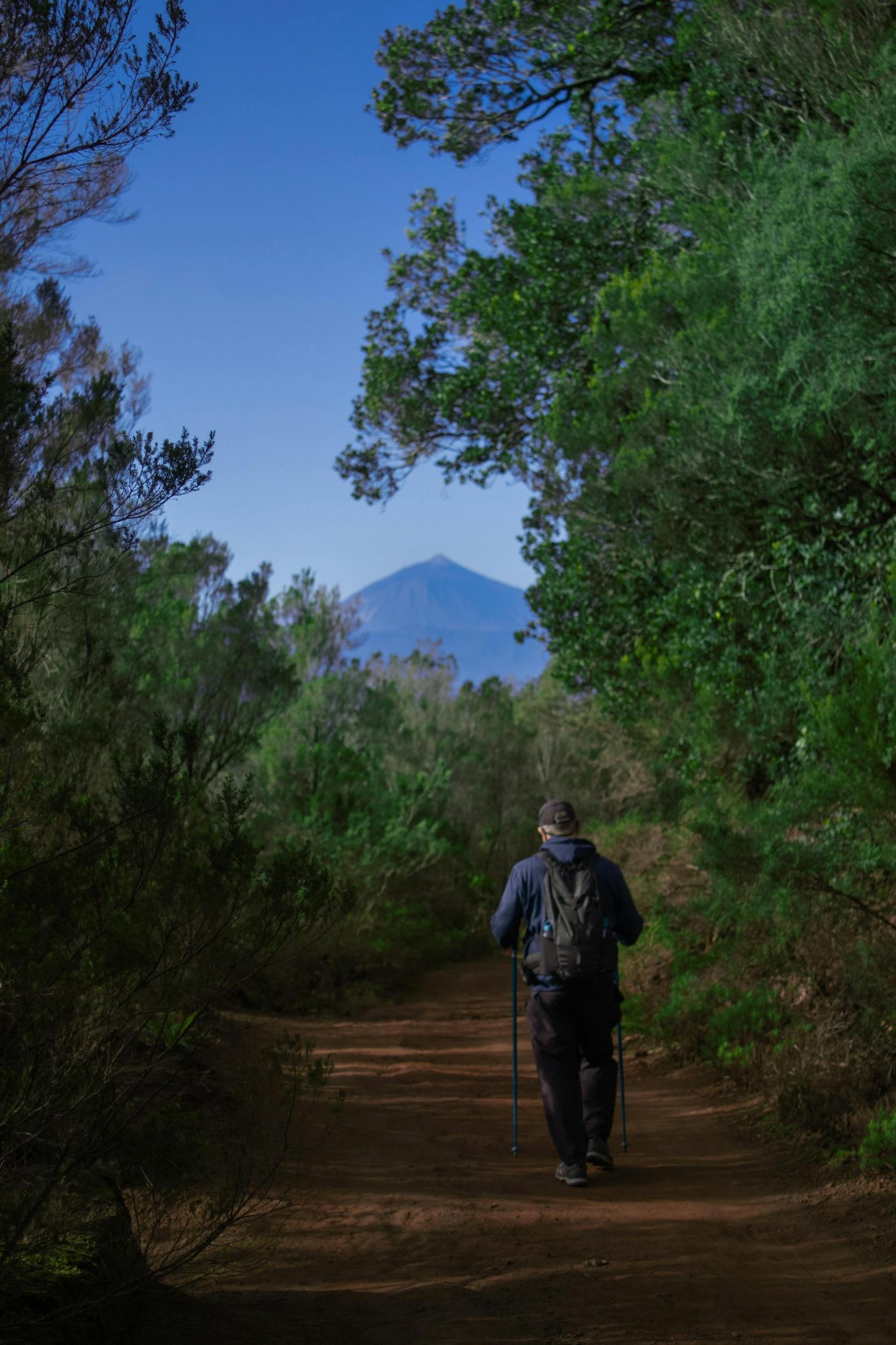 Älterer Mann beim Nordic Walking in der Natur
