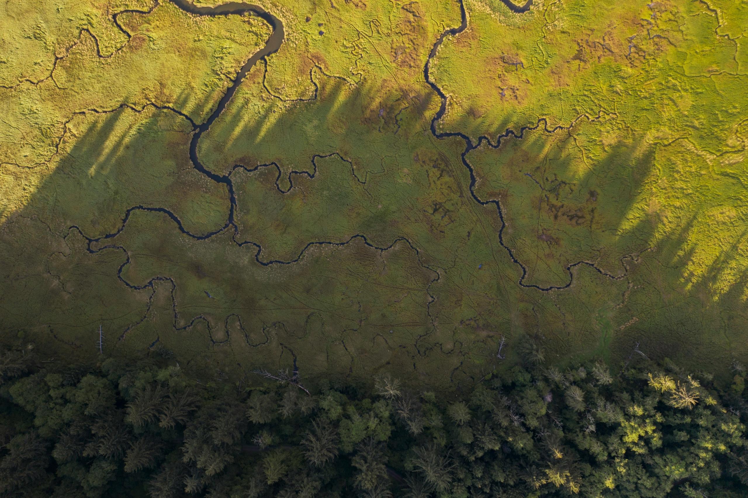 Es ist ein Wald, eine Wiese und ein Fluss von der Draufsicht zu sehen.