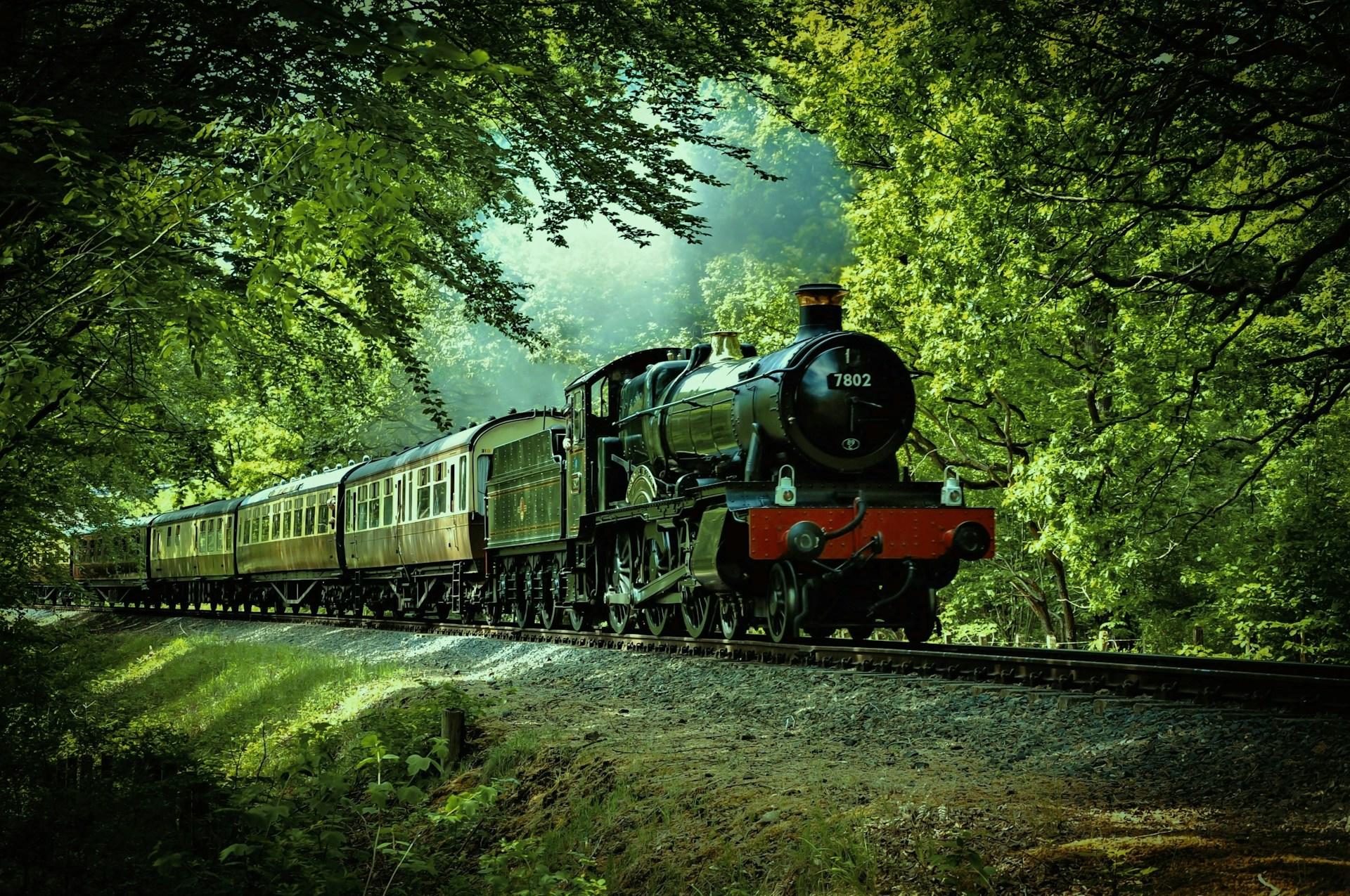 Ein Zug mit Dampflokomotive in einem Wald