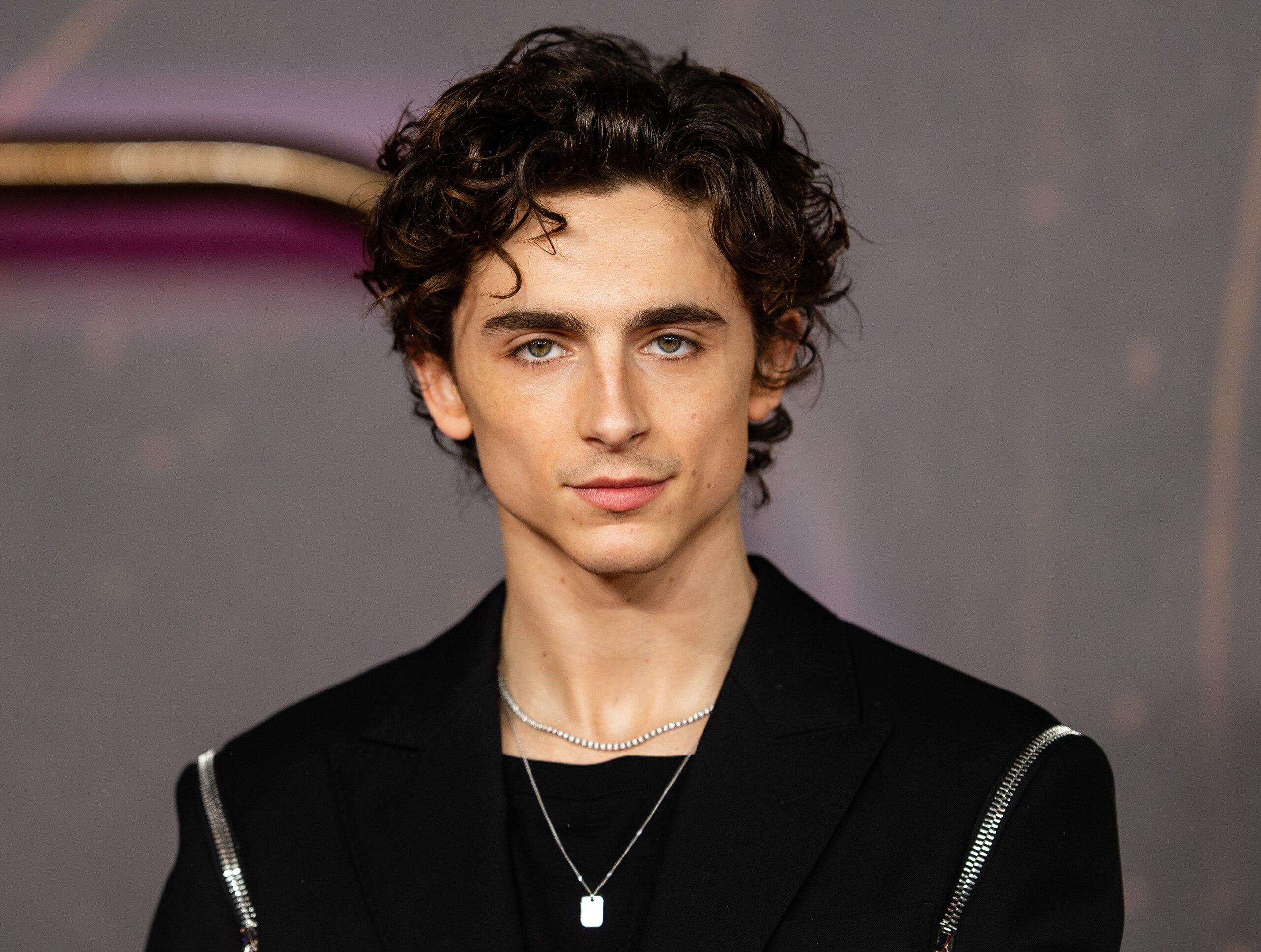 Portrait von Timothée Chalamet