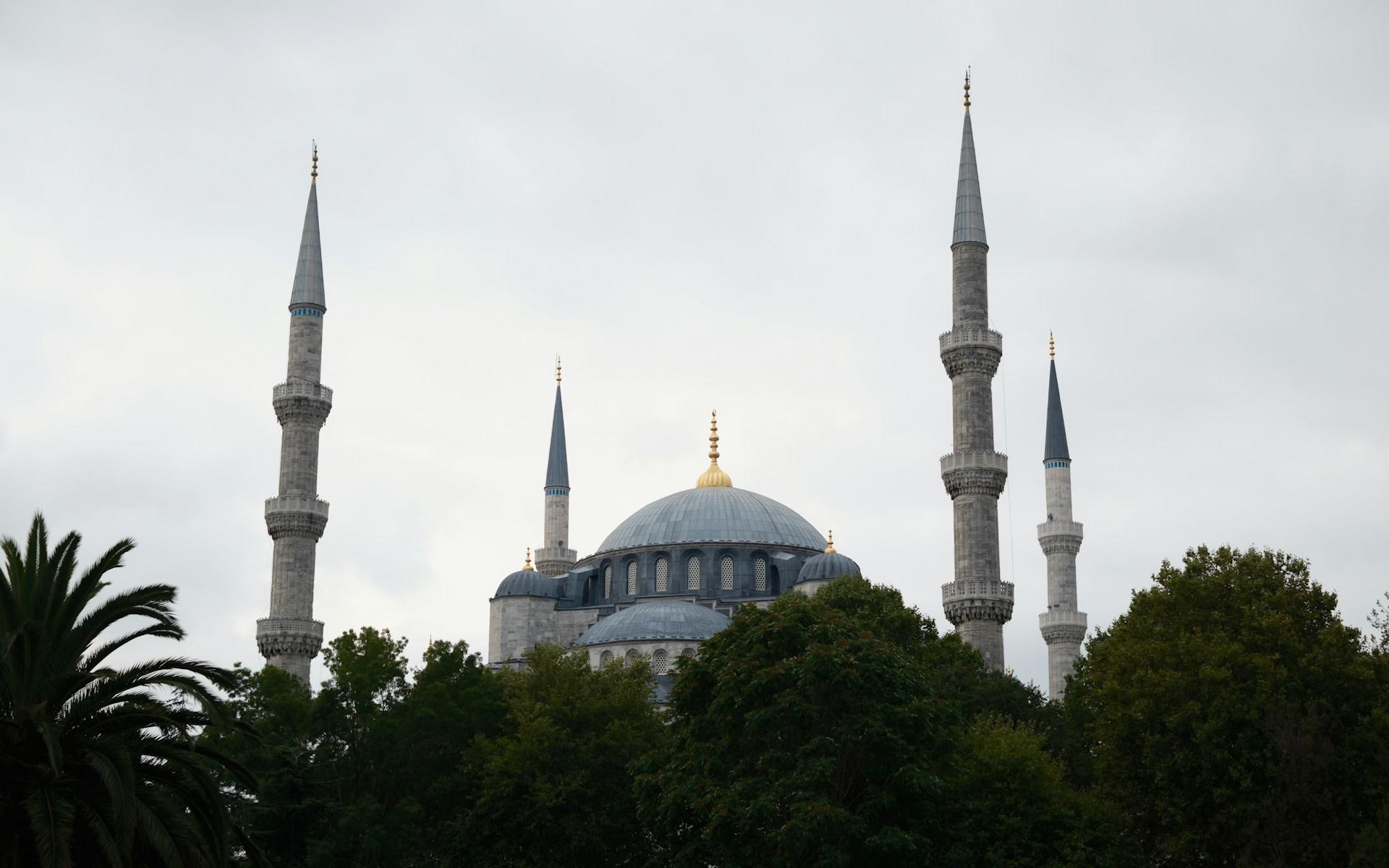 Die Sultan-Ahmed-Moschee hinter Bäumen